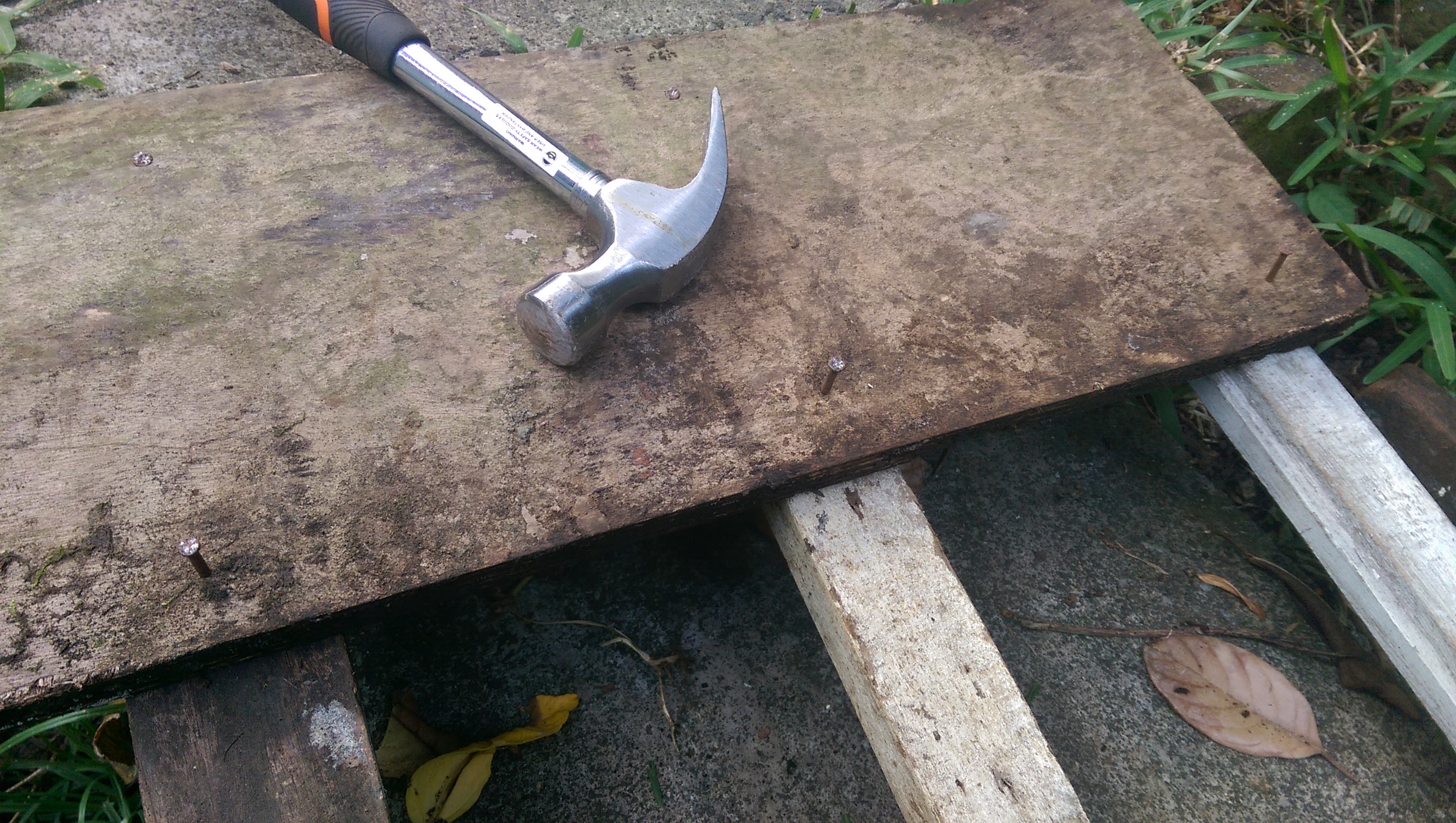 IMAG0503.jpg