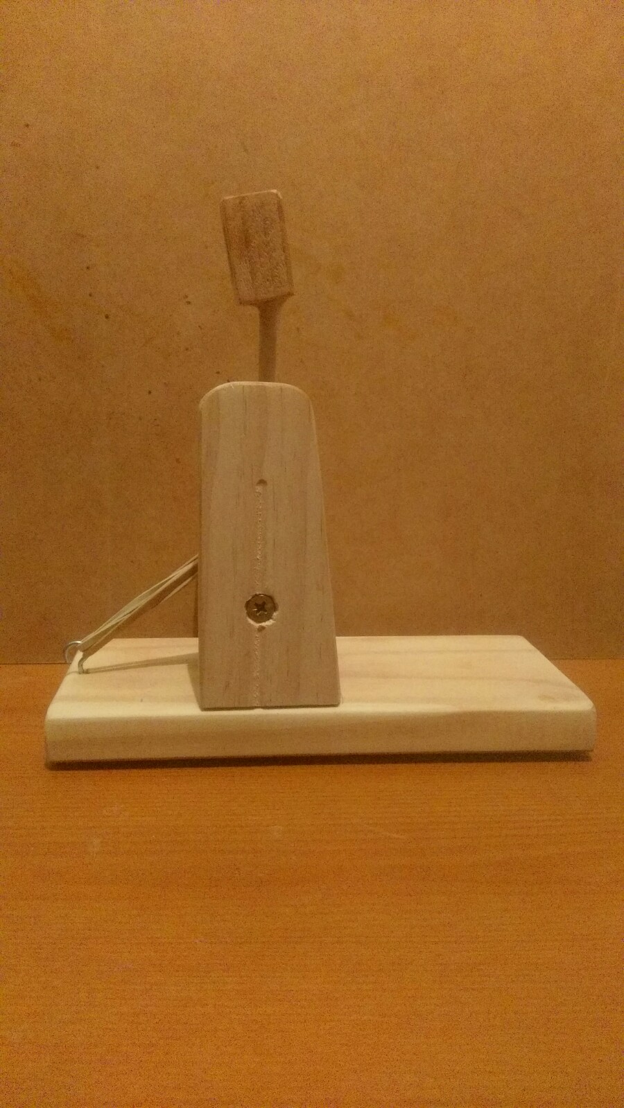 IMAG0511.jpg