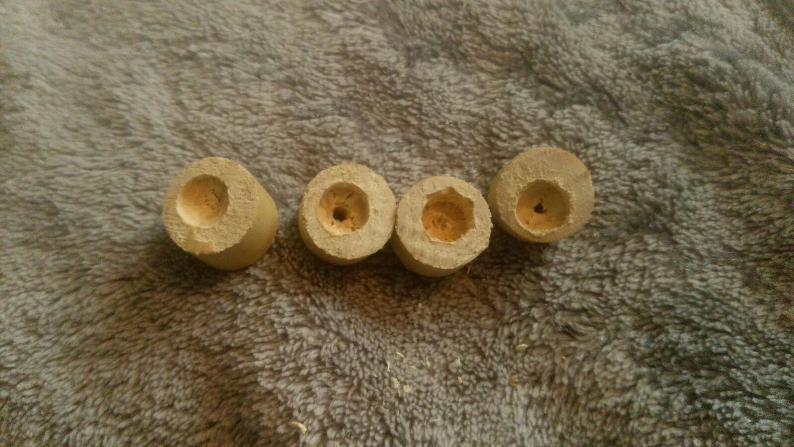 IMAG0526.jpg