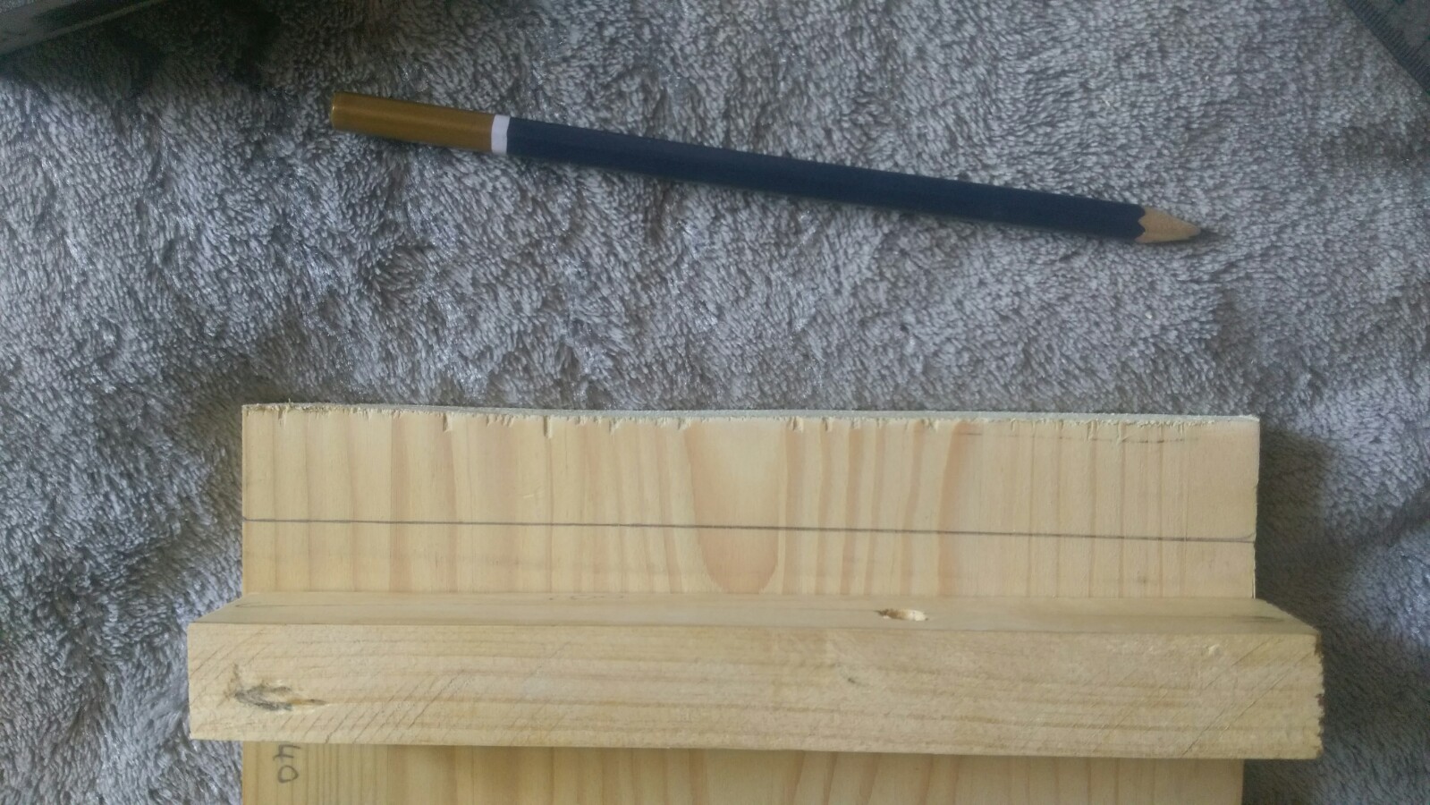 IMAG0556.jpg