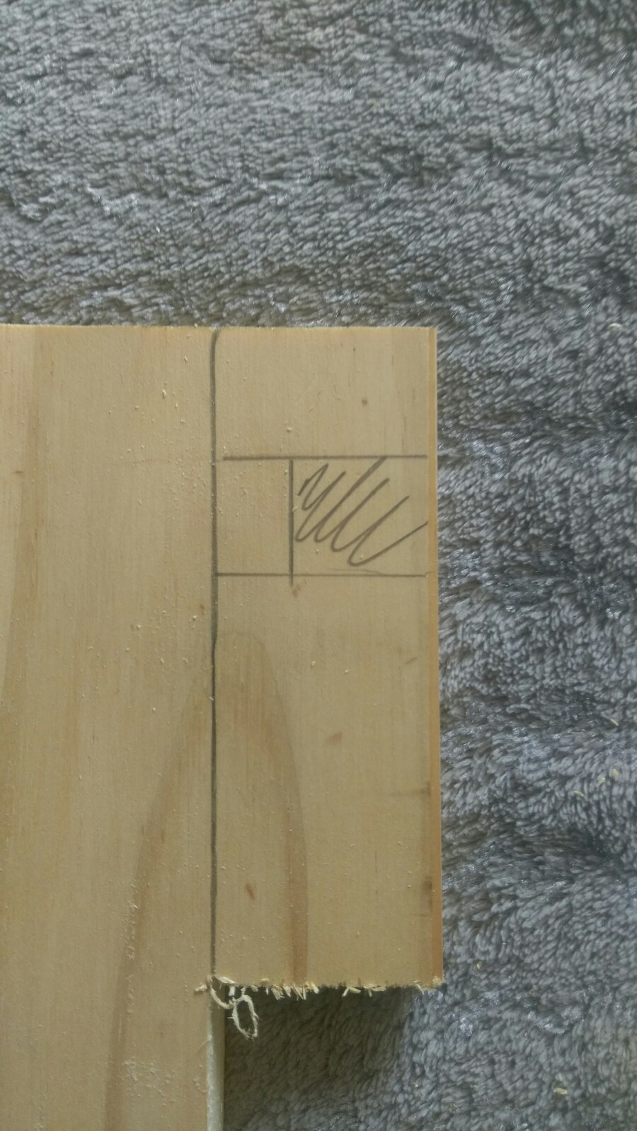 IMAG0570.jpg