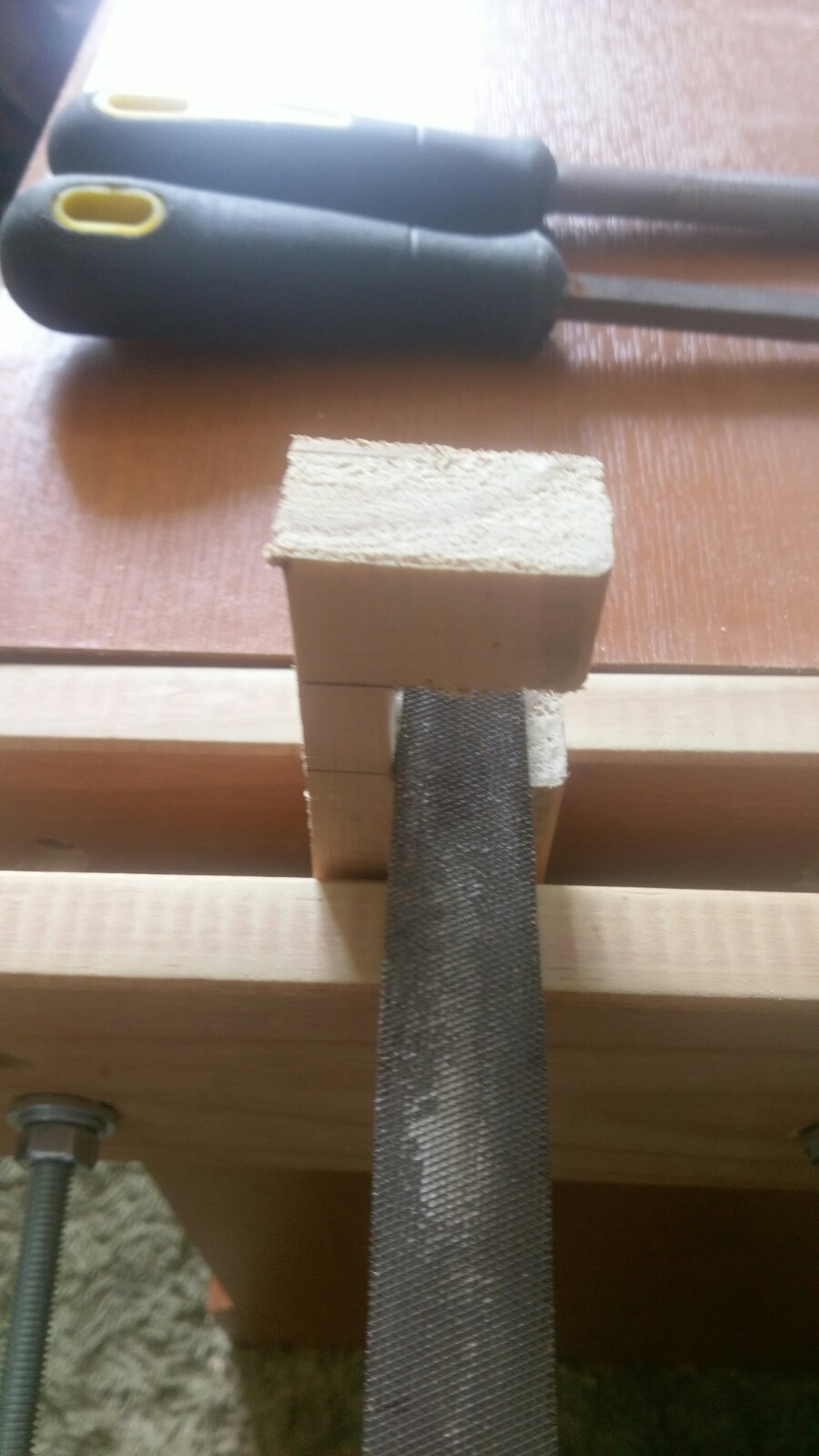IMAG0574.jpg