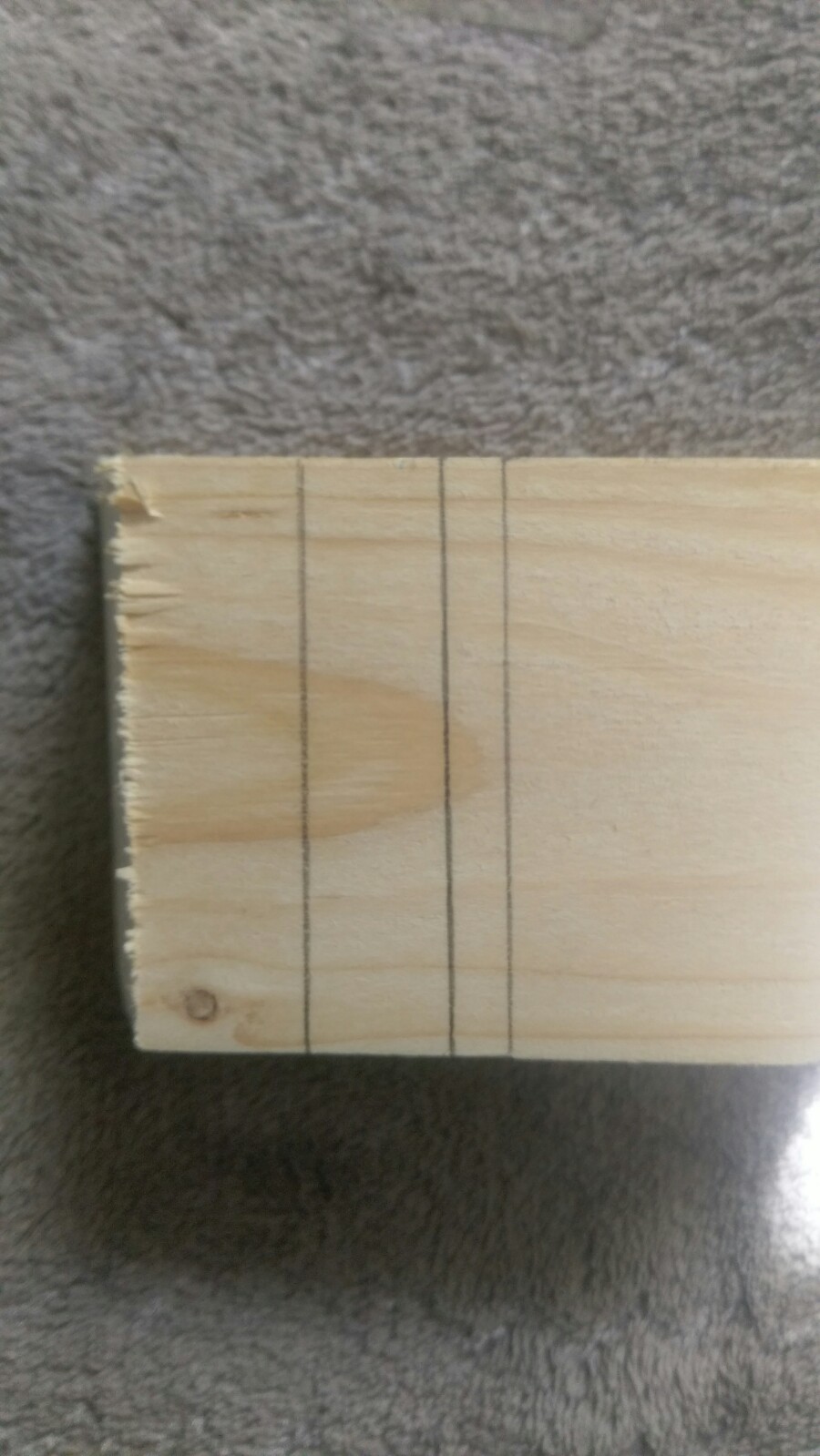 IMAG0584.jpg