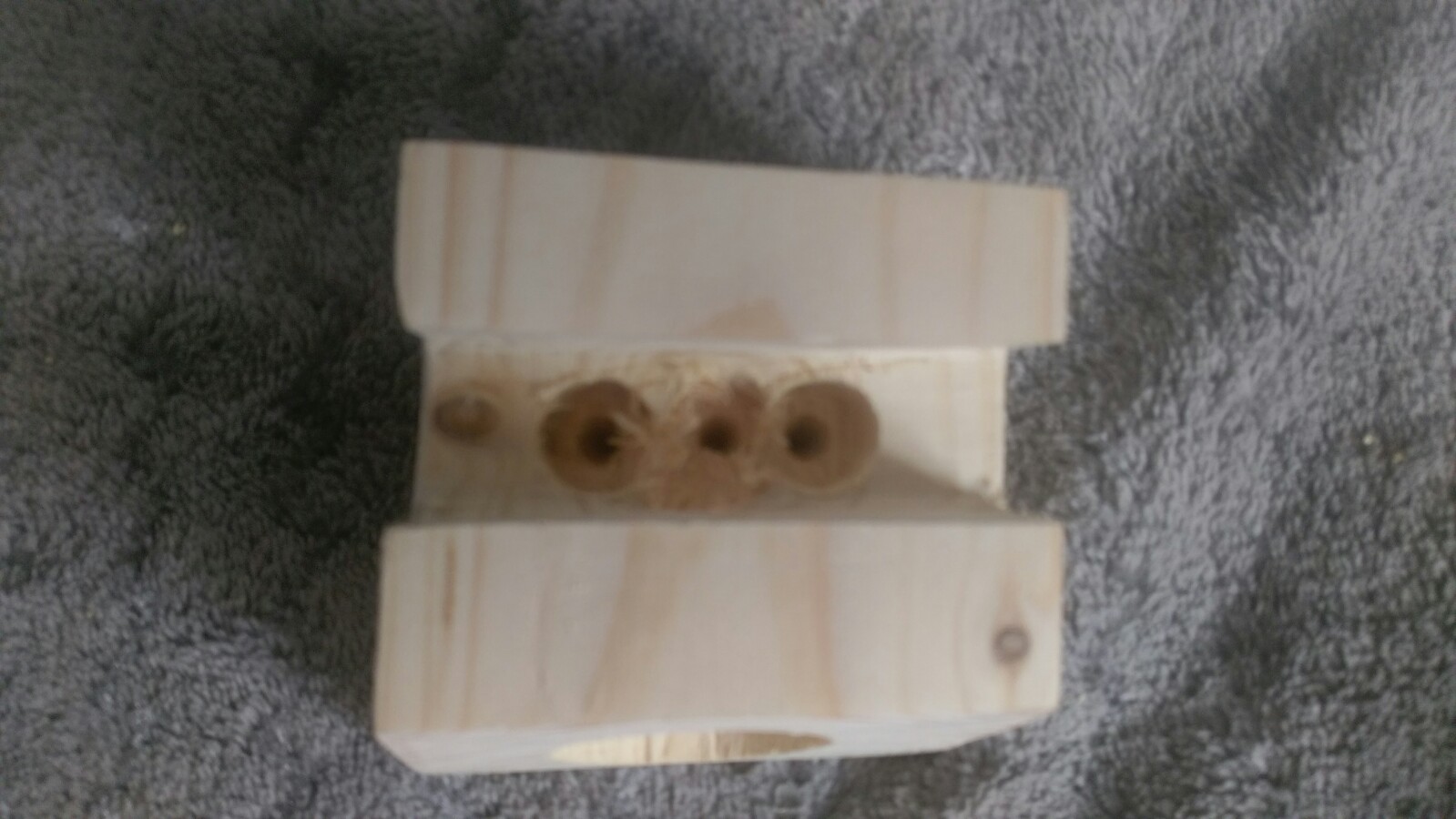 IMAG0591.jpg