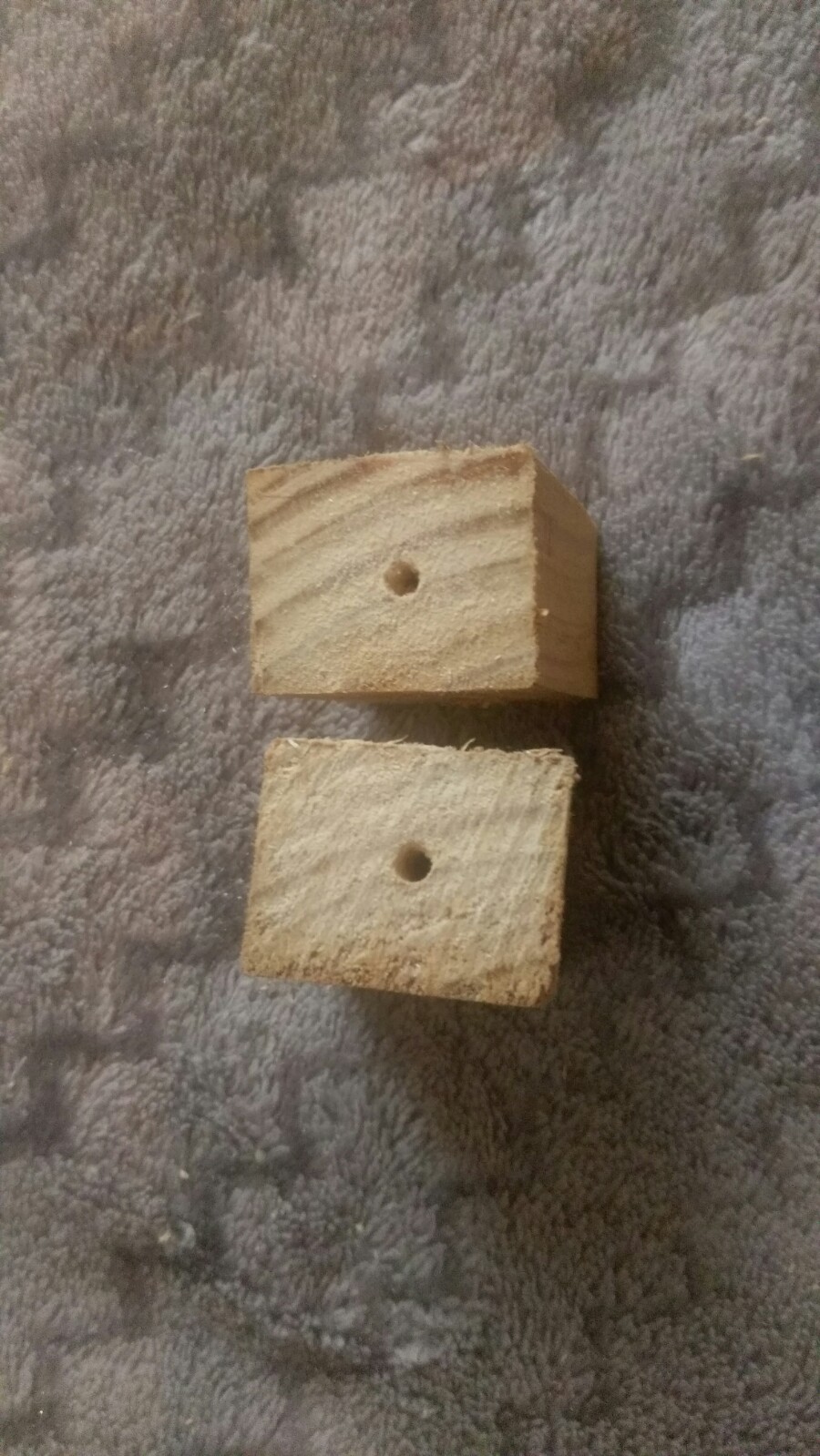 IMAG0658.jpg