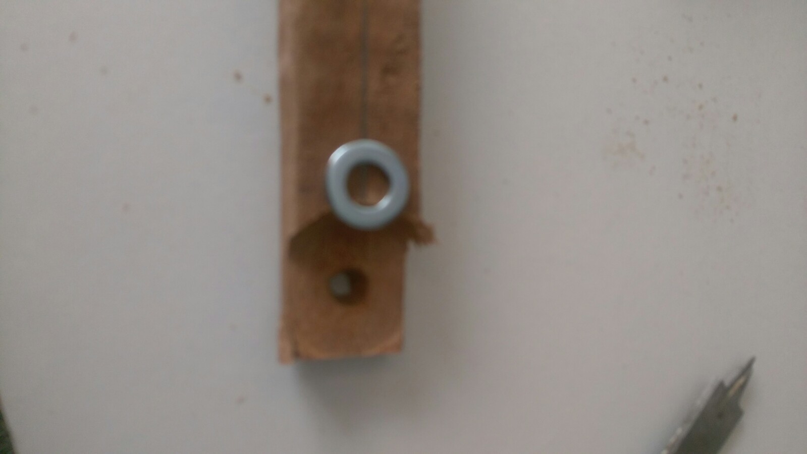 IMAG0734.jpg