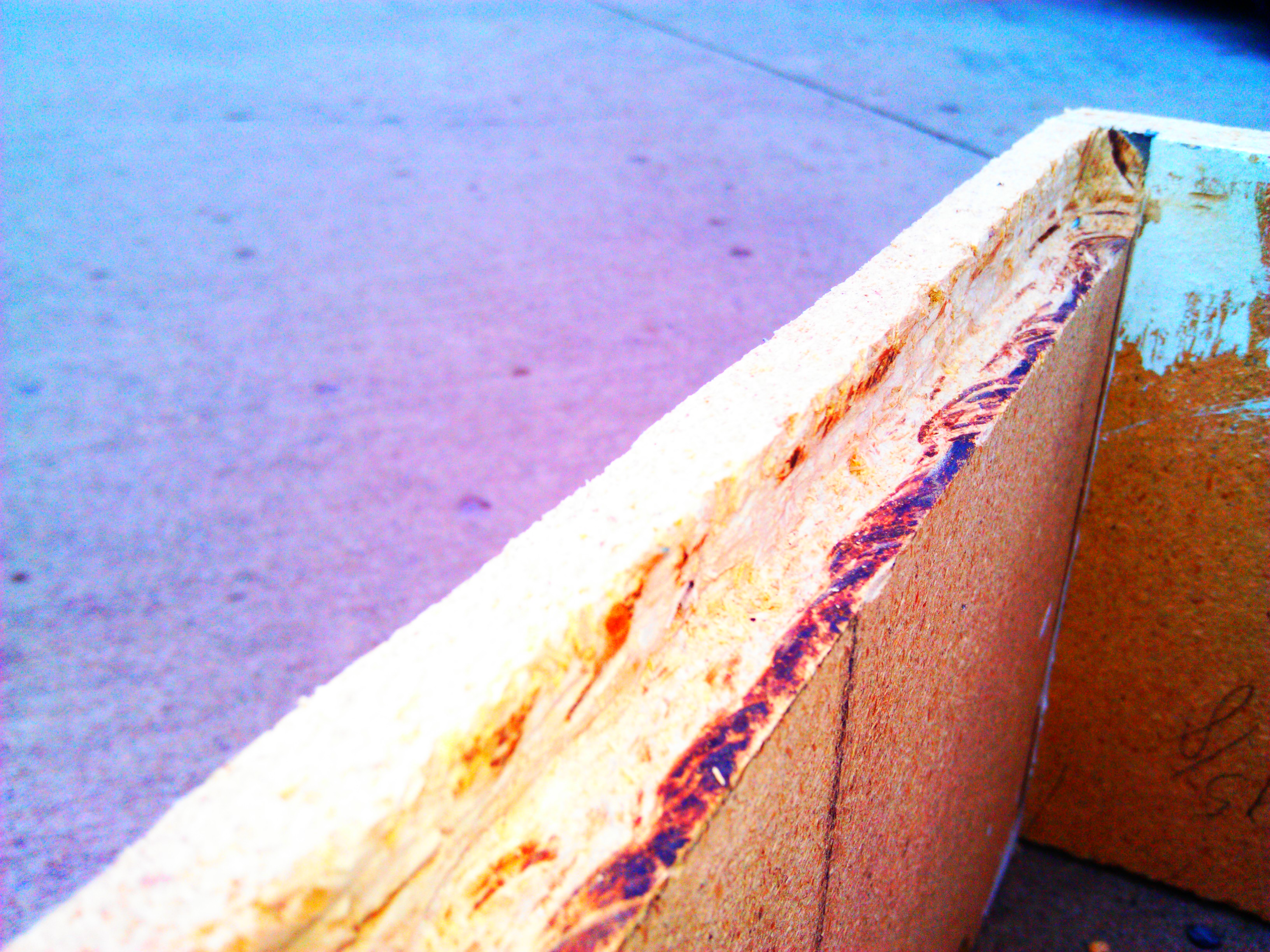 IMAG0881.jpg