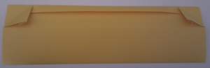 IMAG8505.jpg