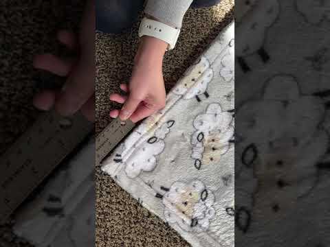 IMG 0639 2