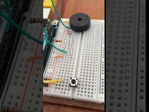 IMG 3494