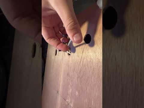 IMG 4114