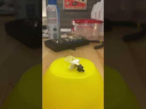 IMG 4524
