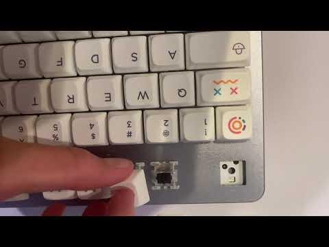 IMG 4526
