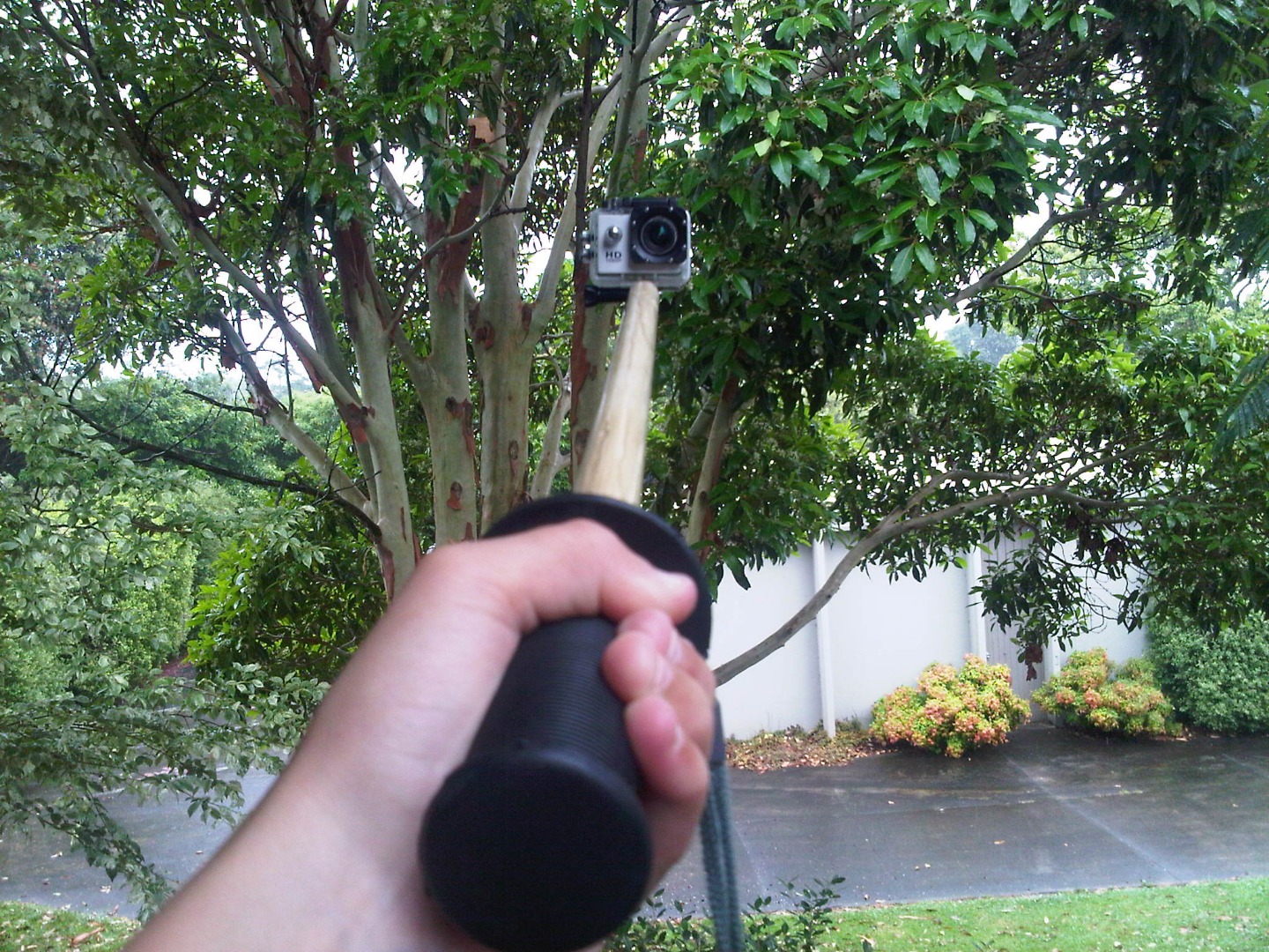 IMG-20160112-01009.jpg