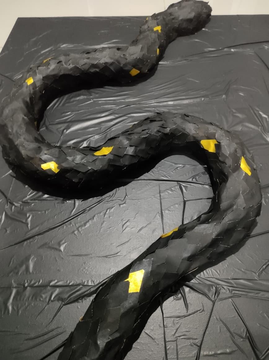 IMG-20251111-WA0002.jpg