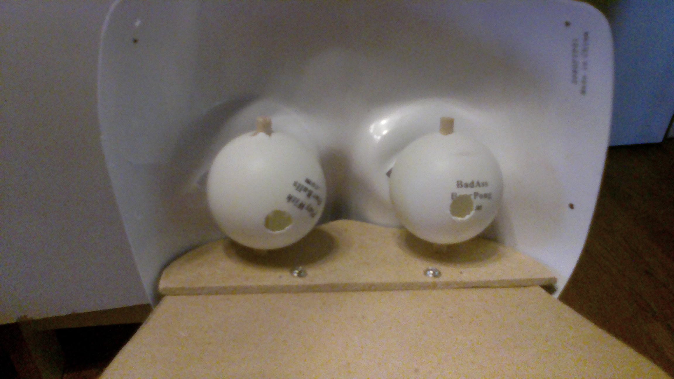IMG01057.JPG