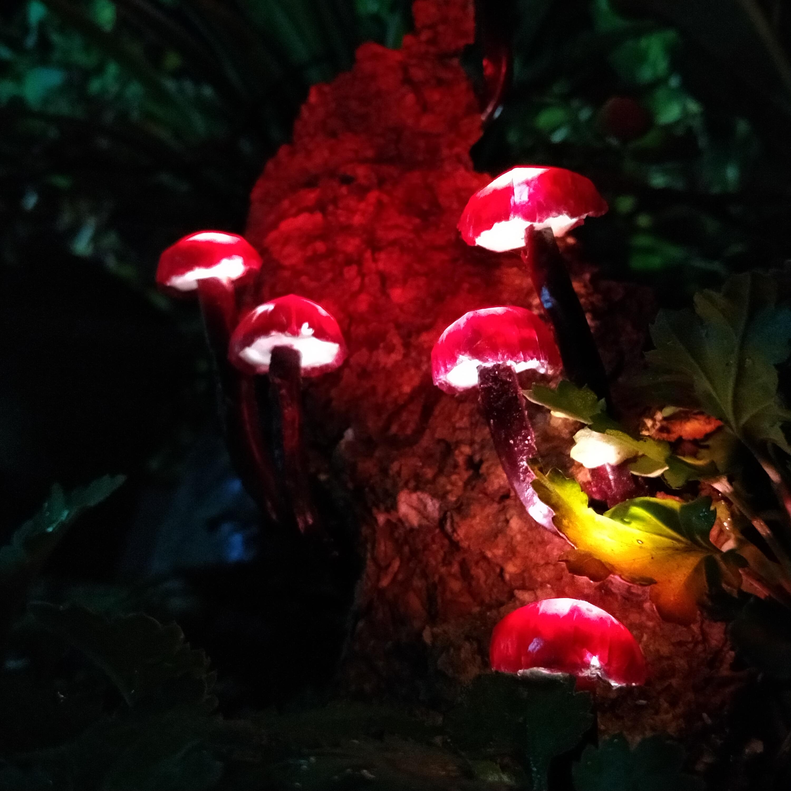 IMG20211014212148.jpg