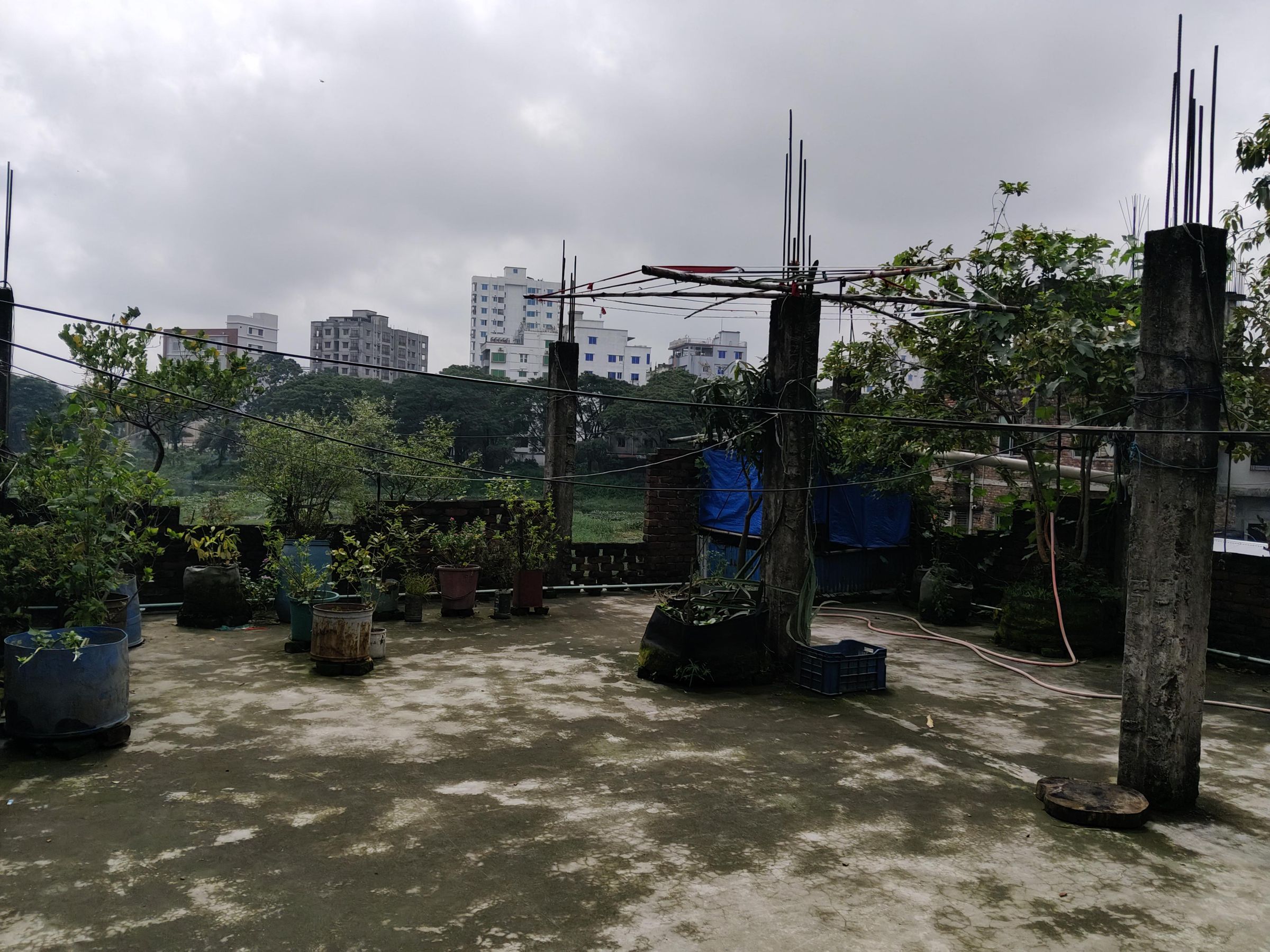 IMG20260721094521.jpg