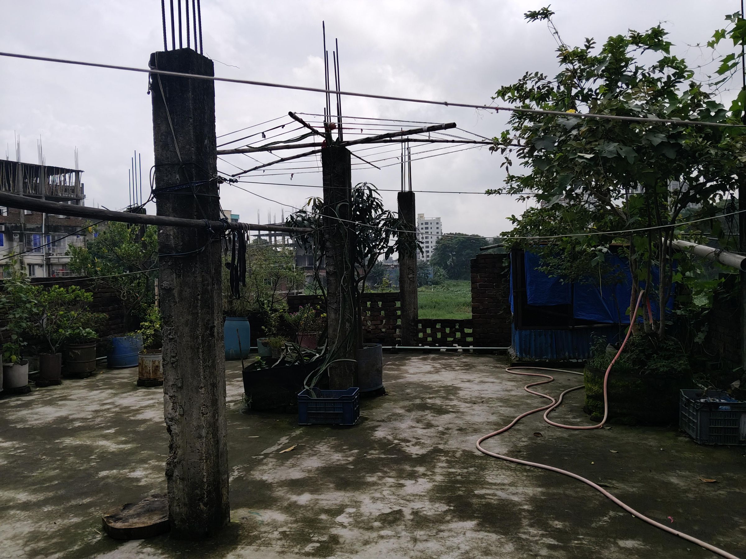 IMG20260721094602.jpg
