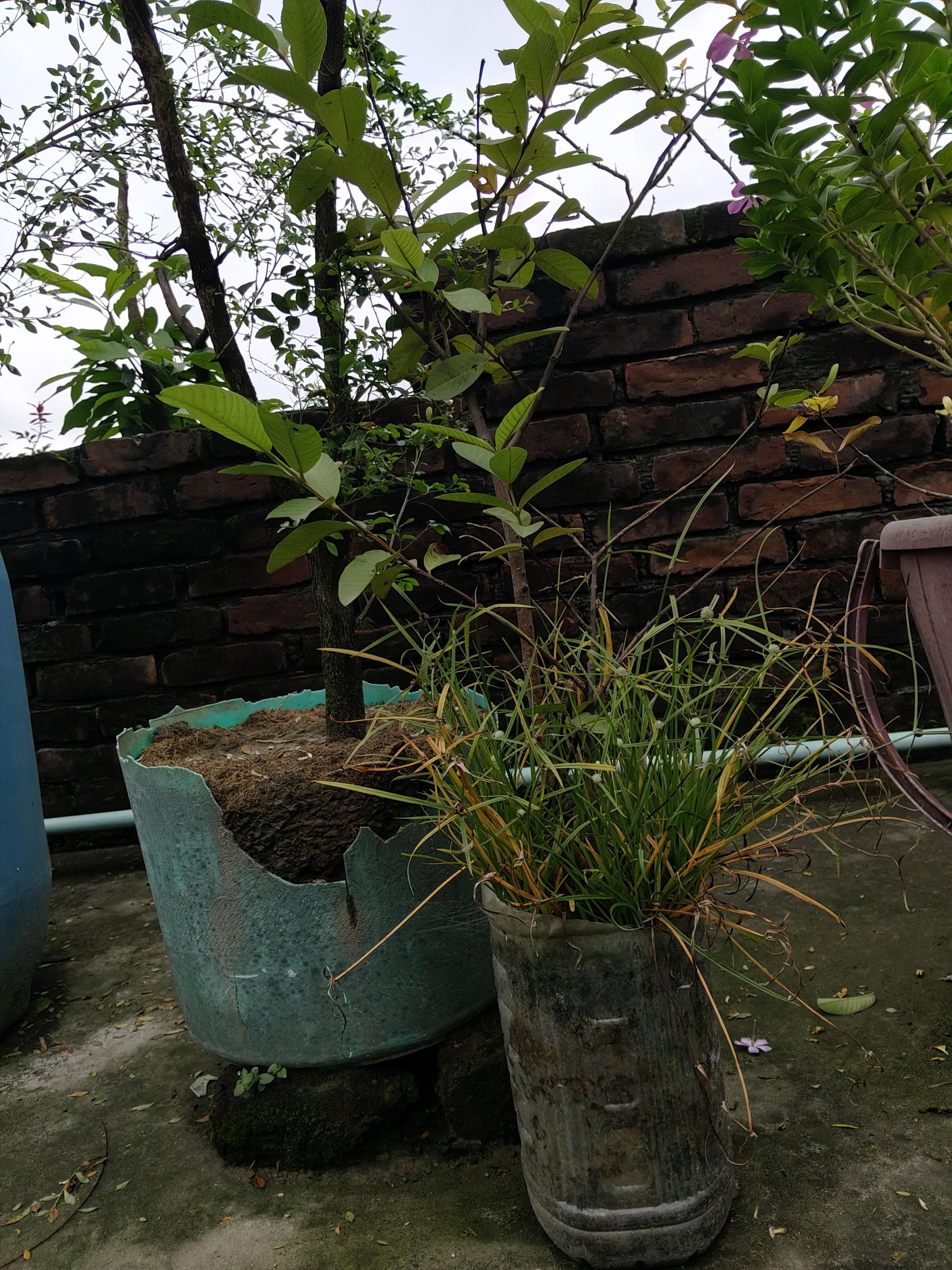 IMG20260721094839.jpg