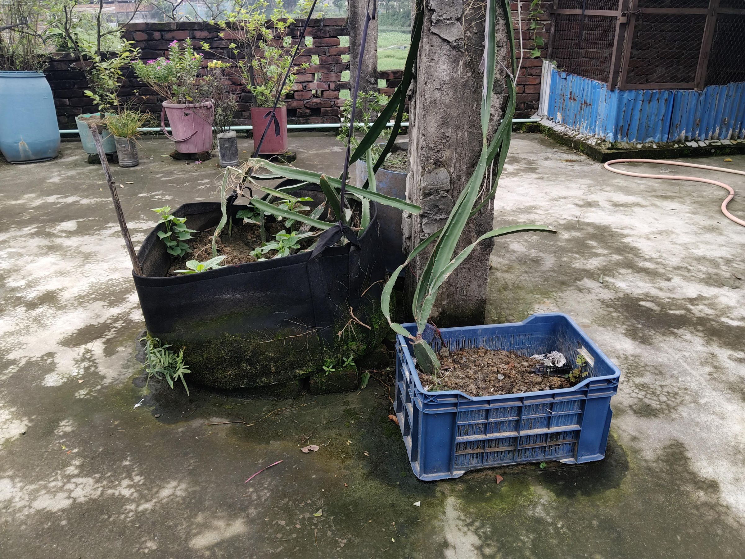 IMG20260721094946.jpg