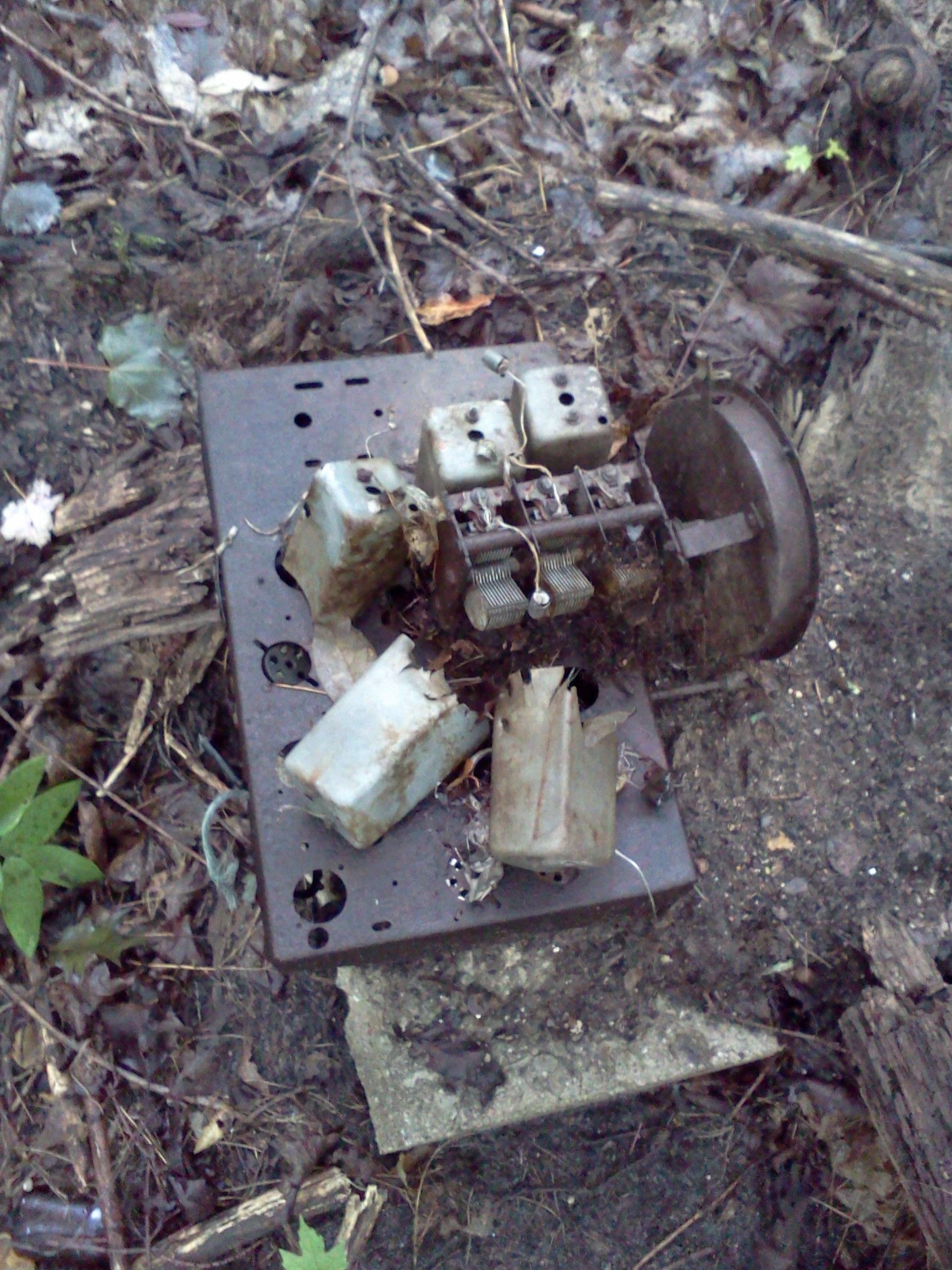 IMG688.jpg