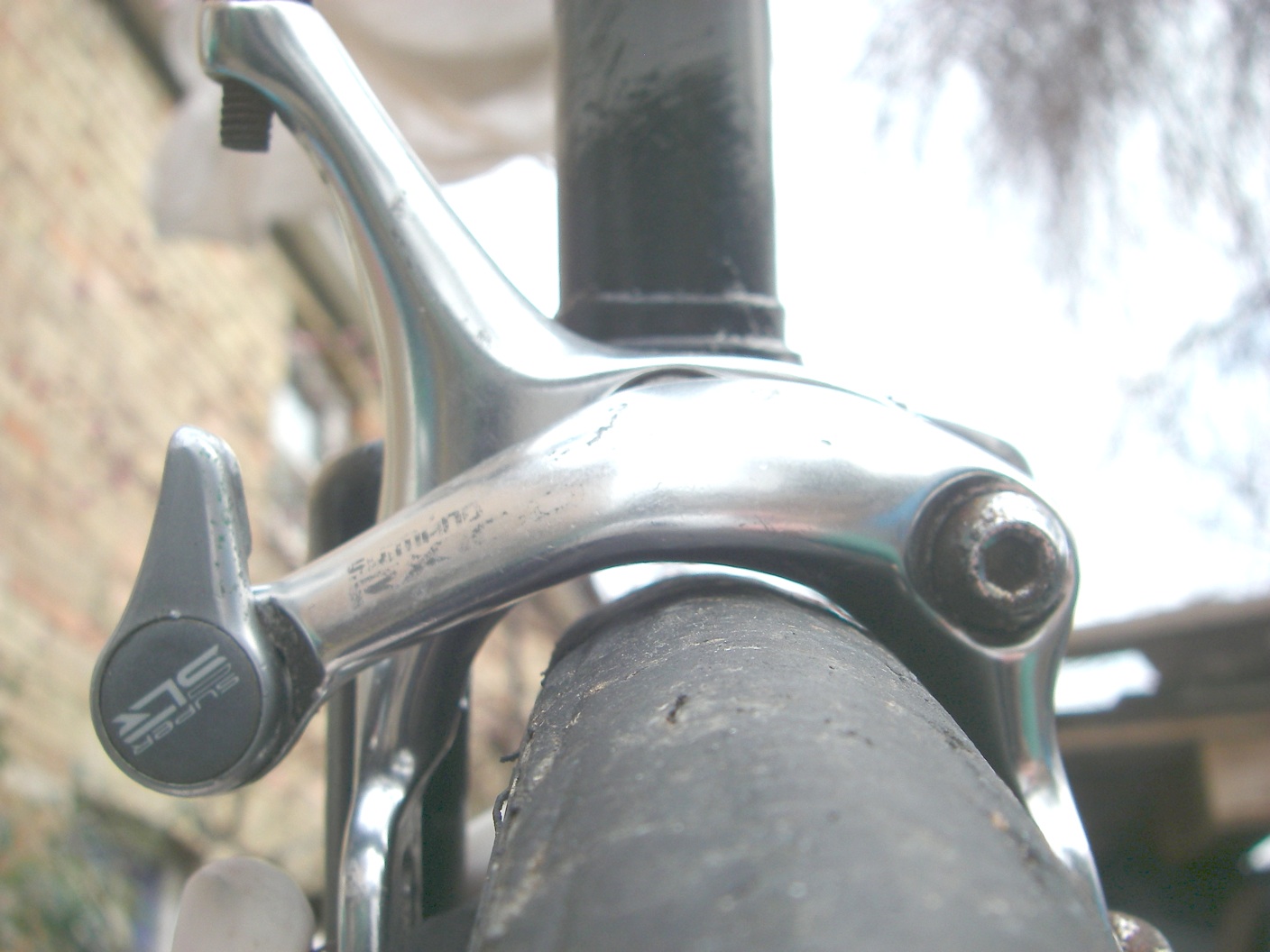IMGP1410a.jpg
