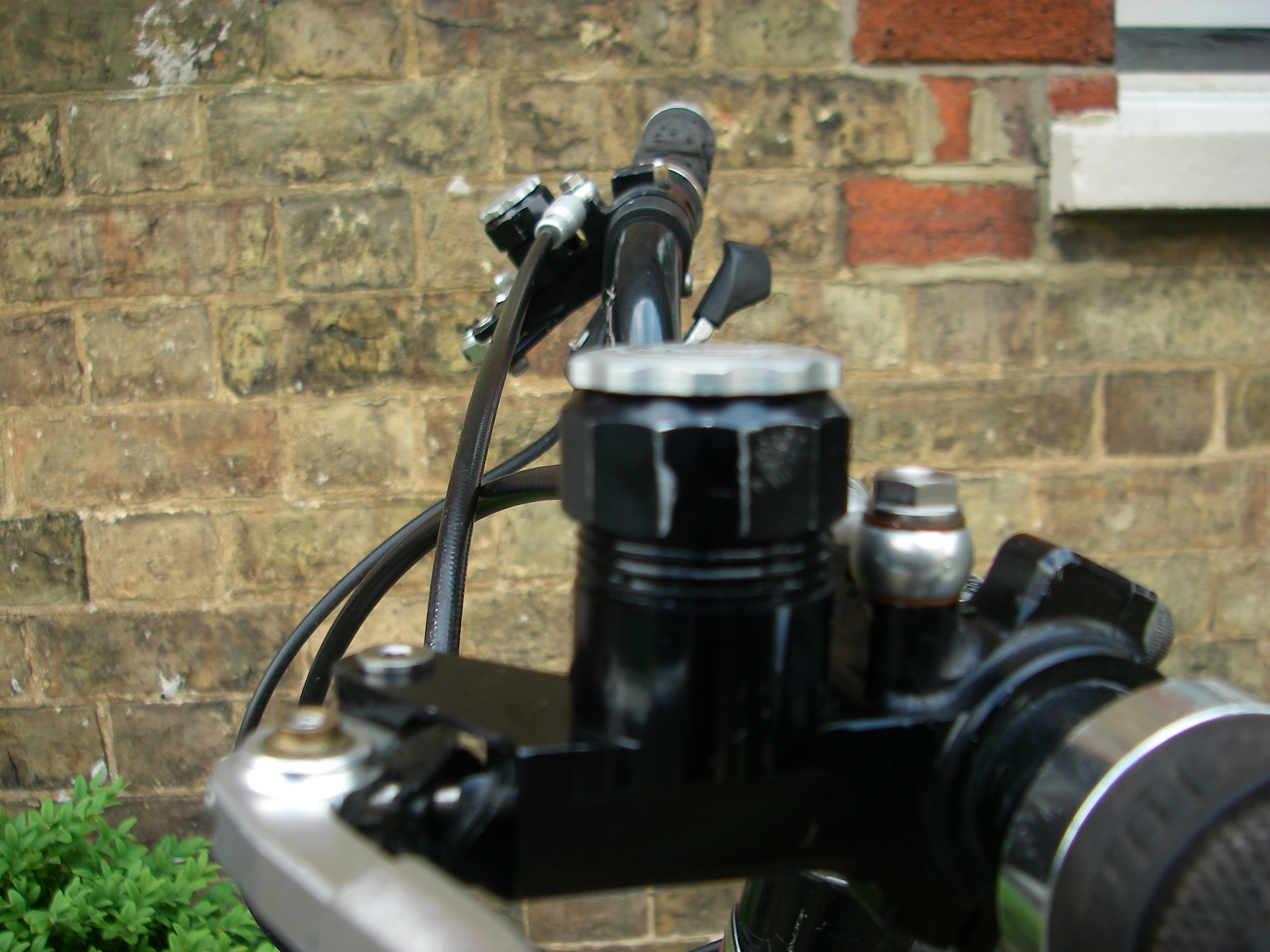IMGP2954.JPG
