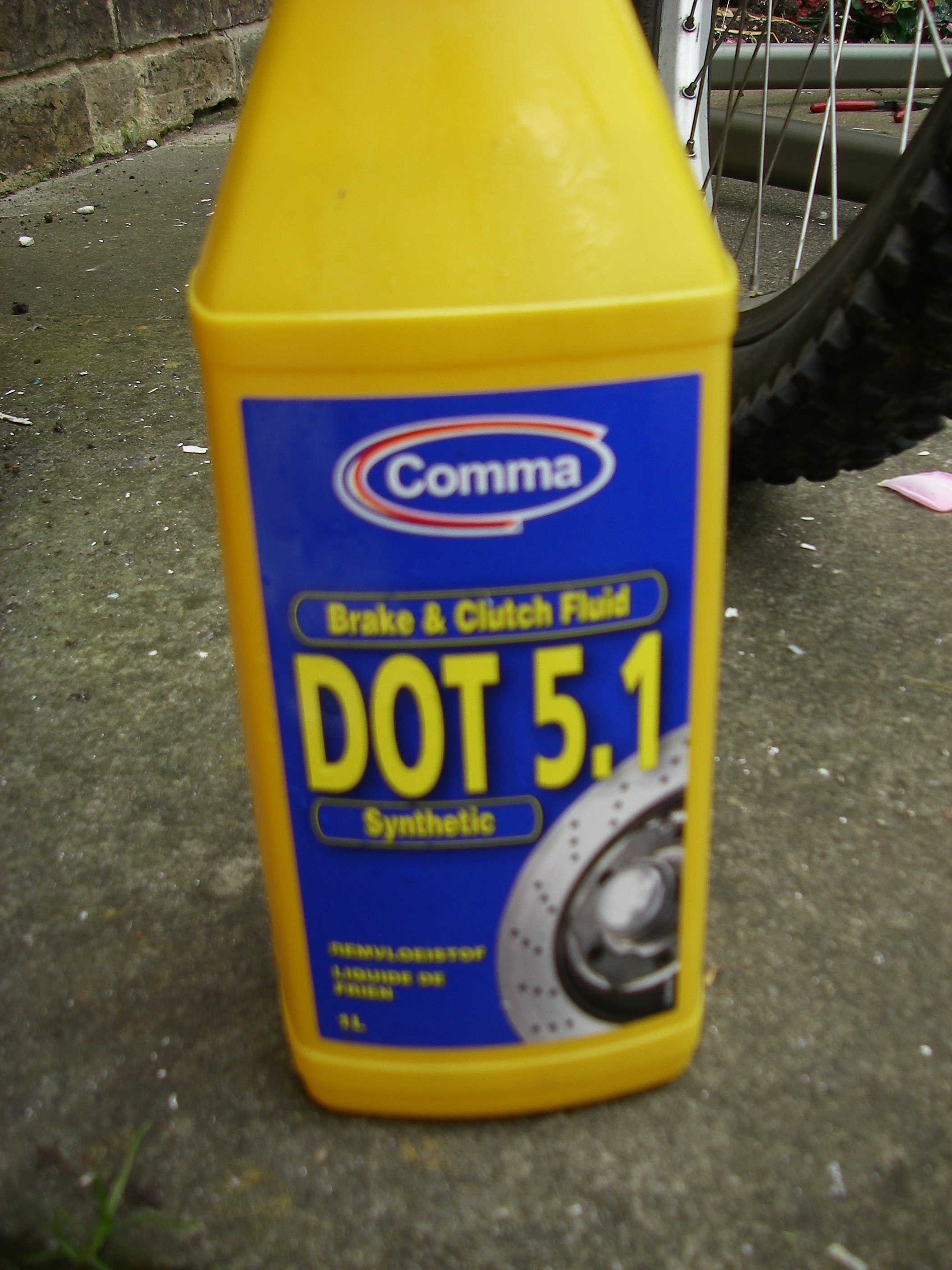 IMGP2963.JPG