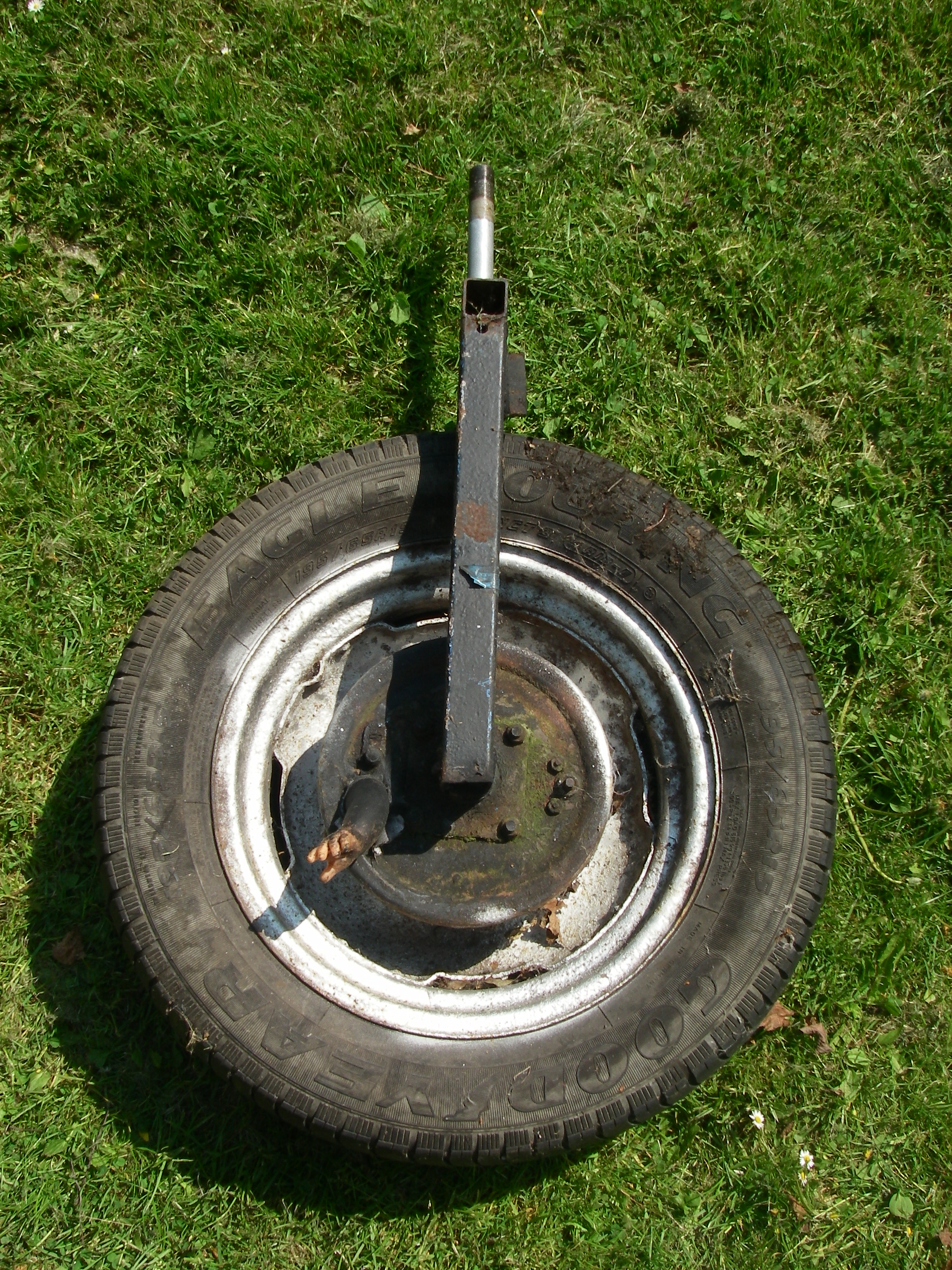 IMGP2998.JPG