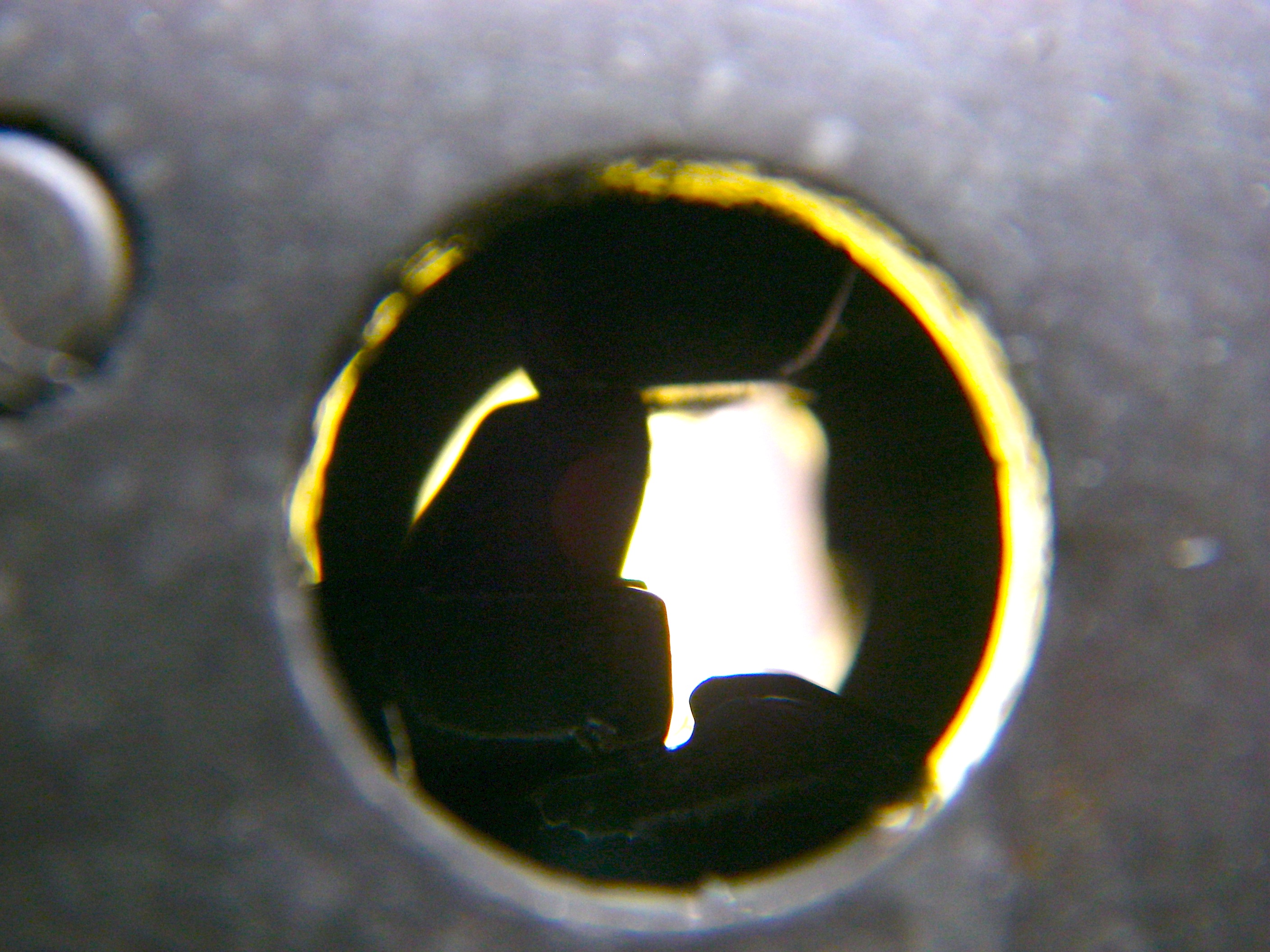IMGP4040.JPG