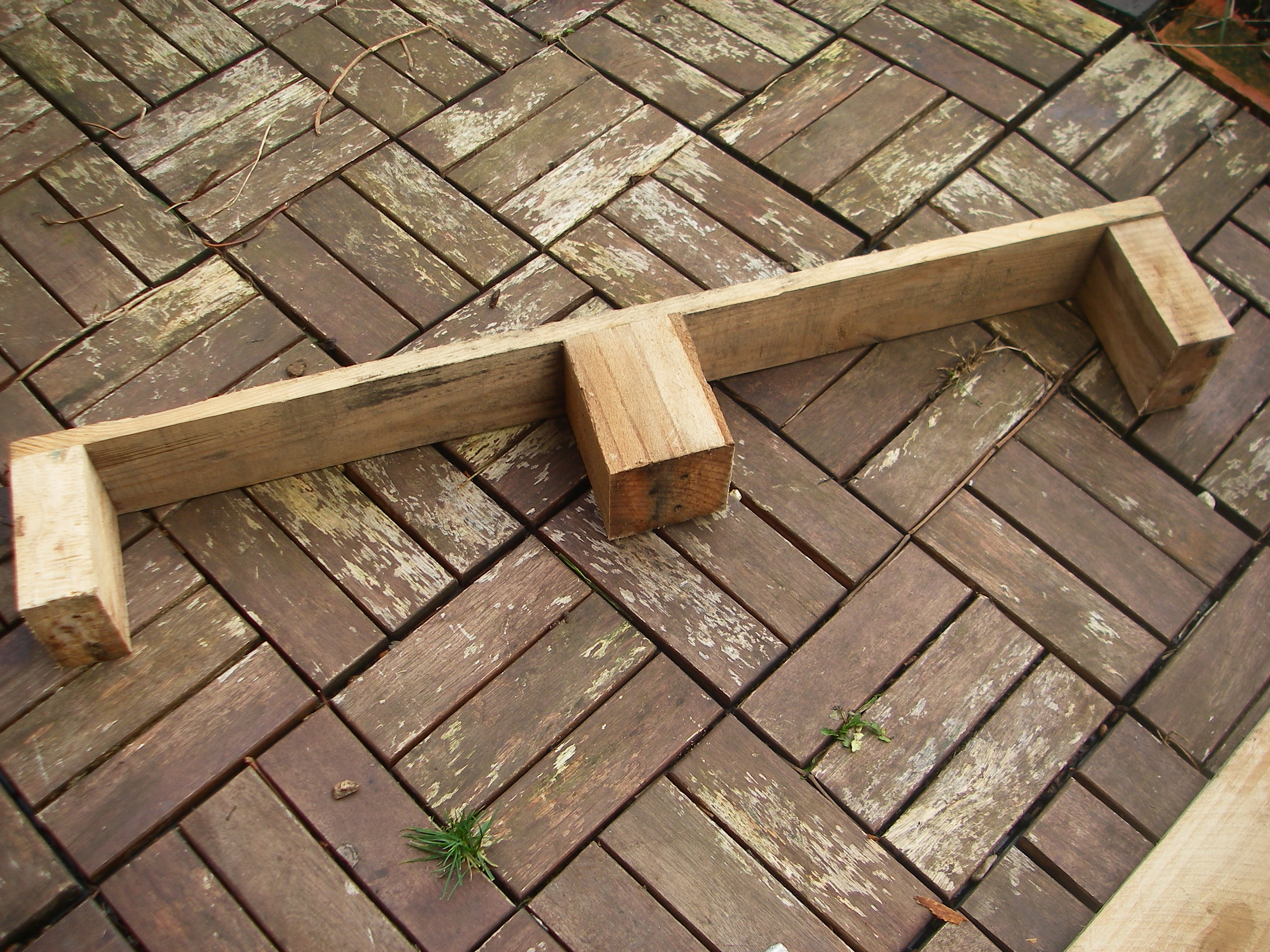 IMGP4630.JPG