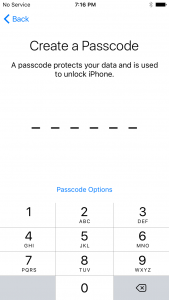 IMG_0004-169x300.png