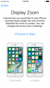 IMG_0008-169x300.png