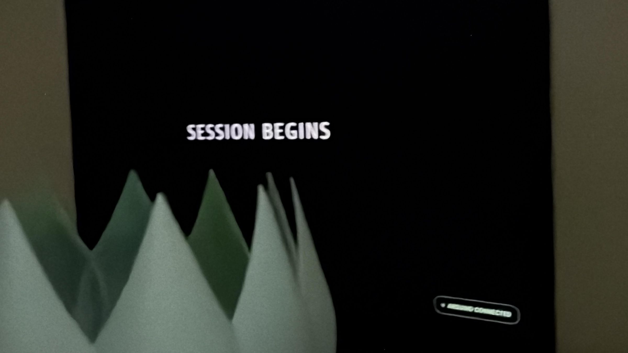 IMG_0100.jpg