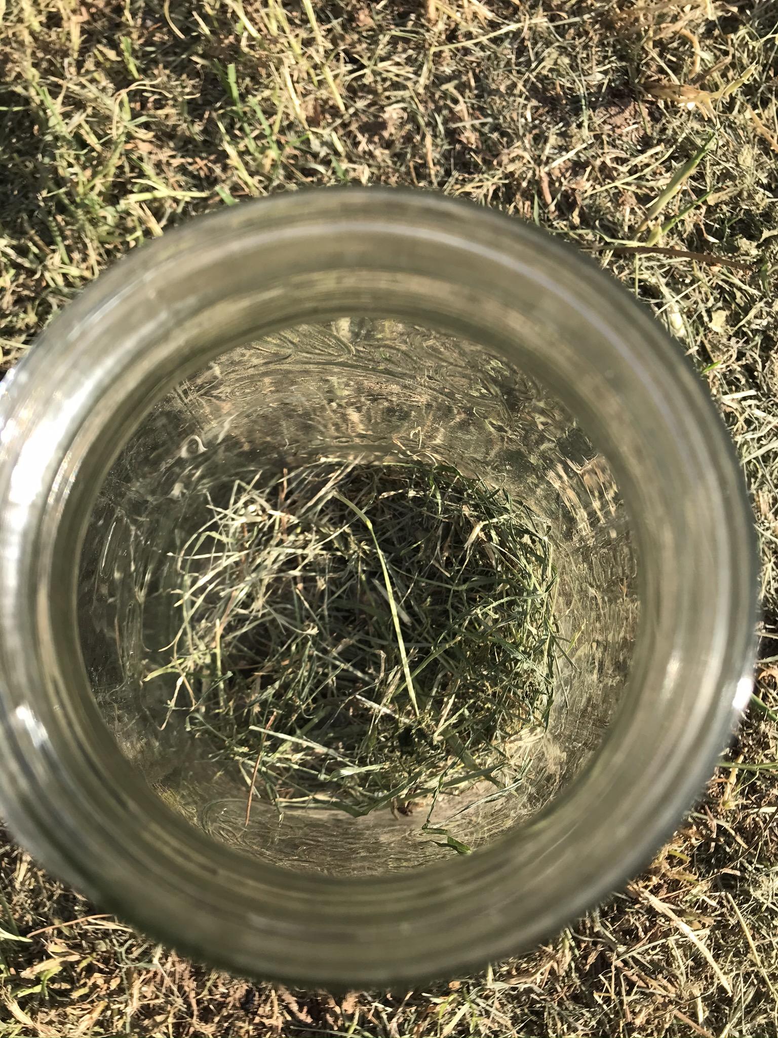 IMG_0149.JPEG