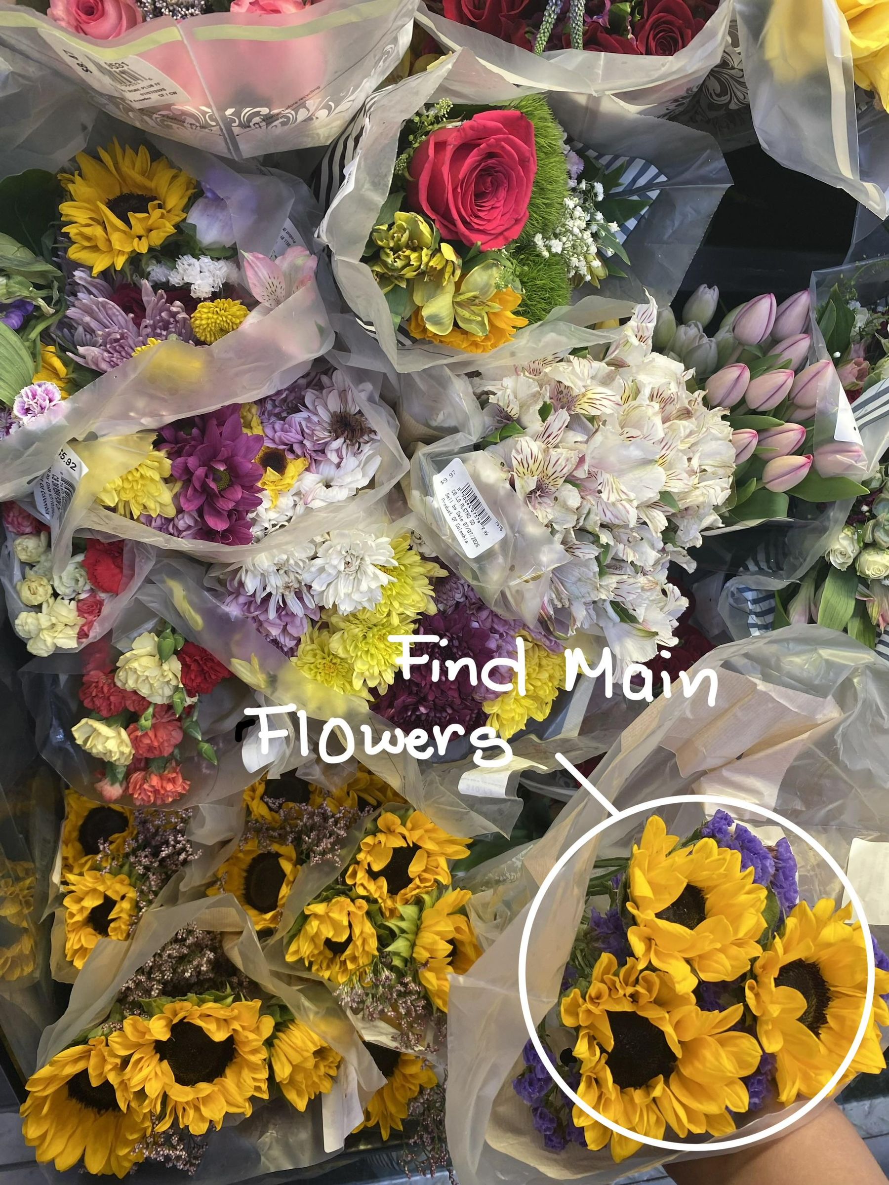 IMG_0516.jpeg