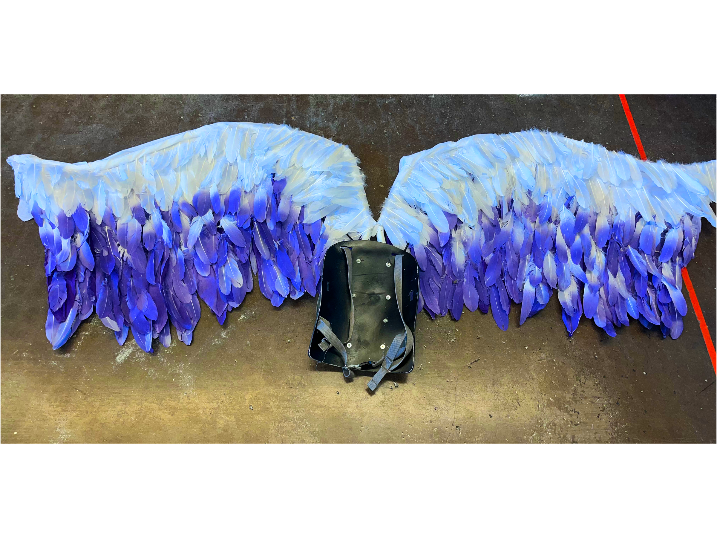 IMG_0519 (1).png
