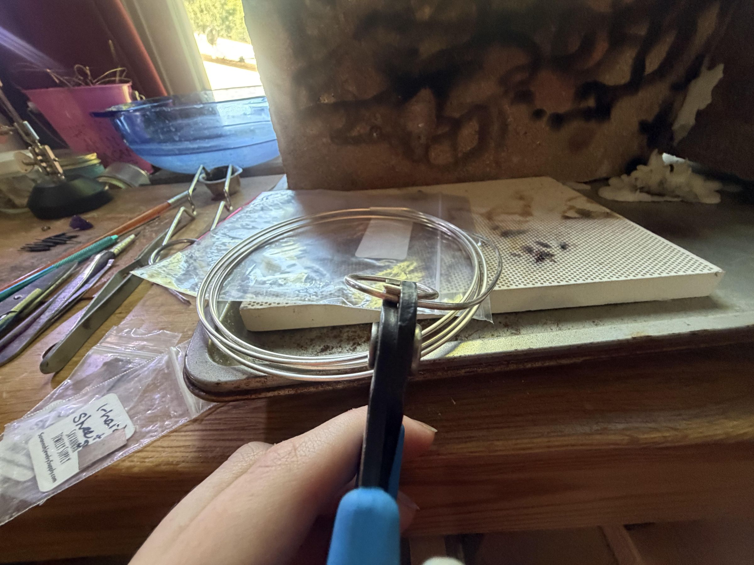 IMG_1184.jpeg