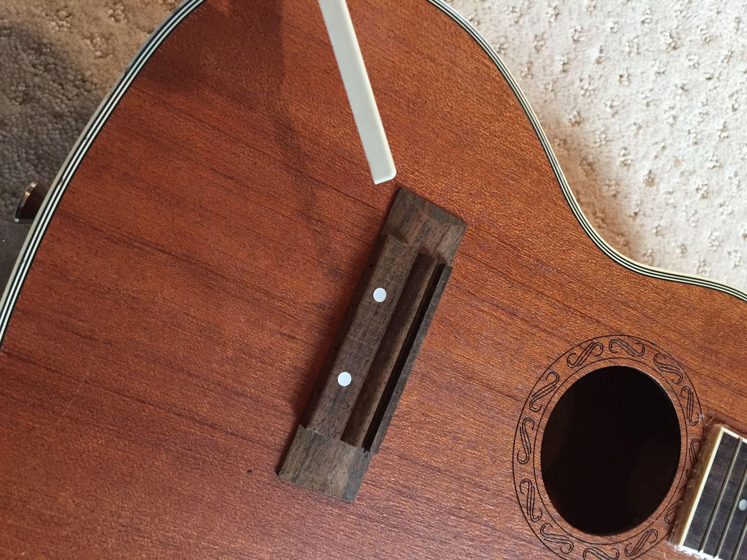 IMG_1782.JPG
