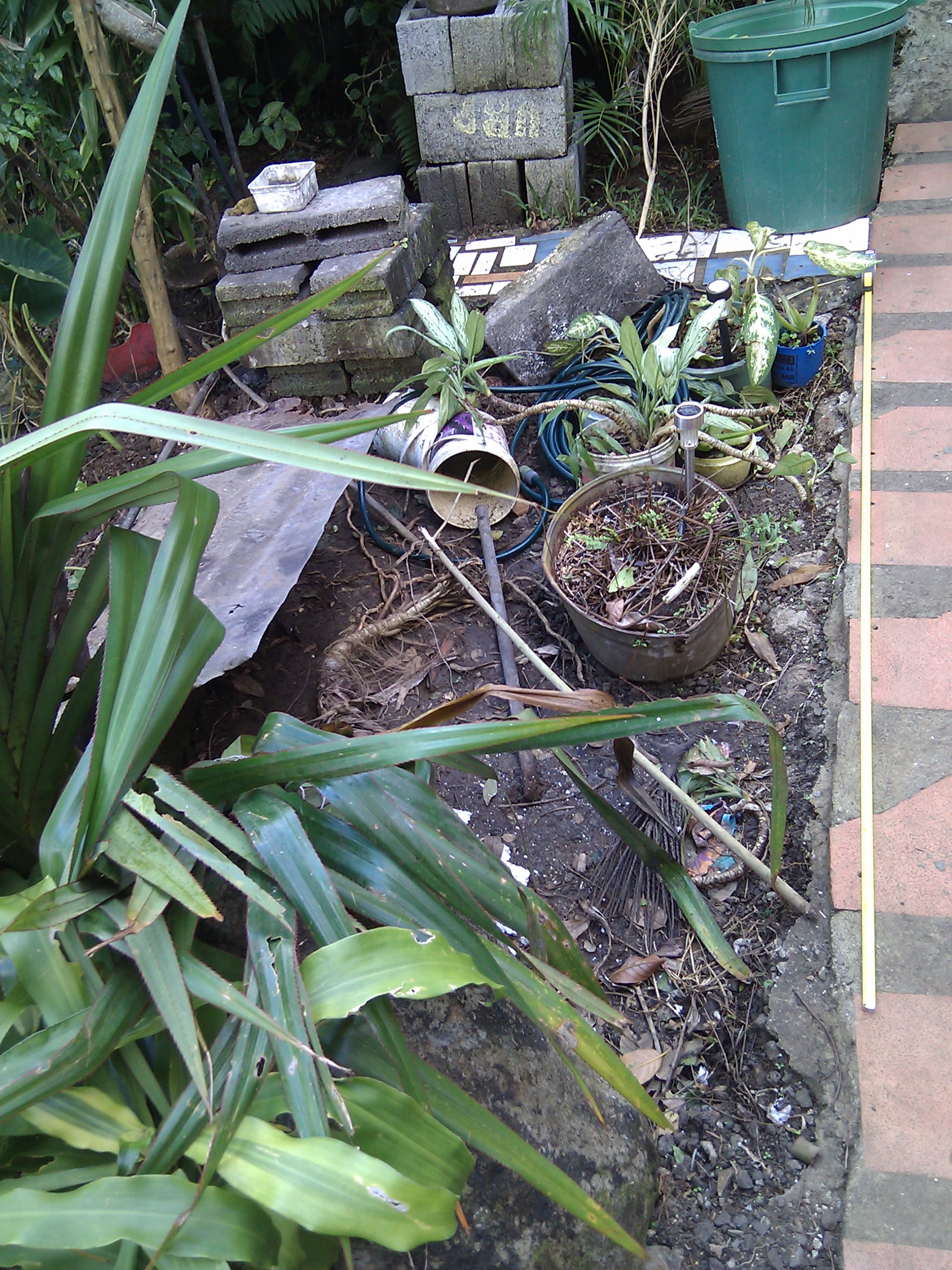 IMG_20110821_153626.jpg