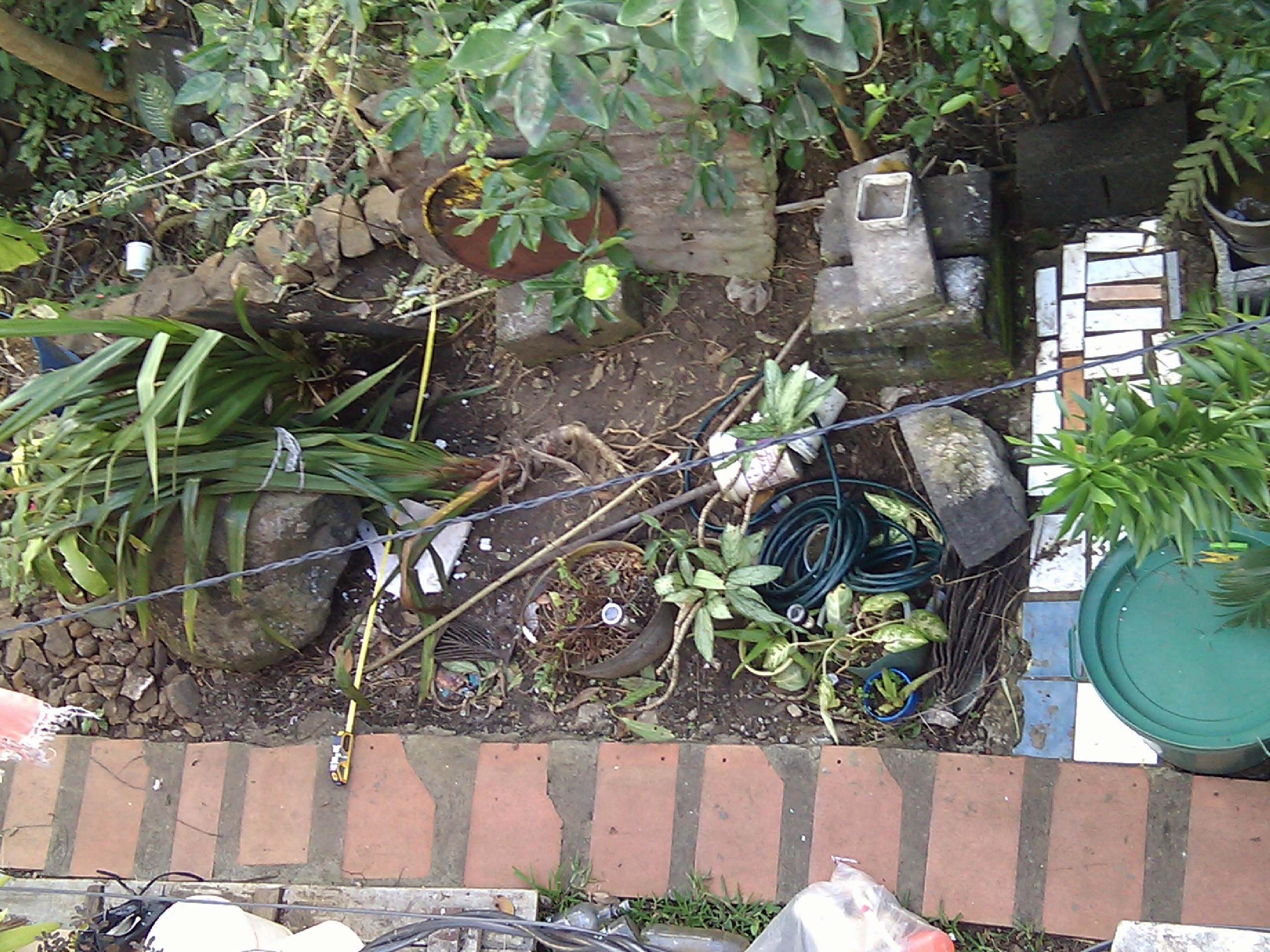 IMG_20110821_154233.jpg