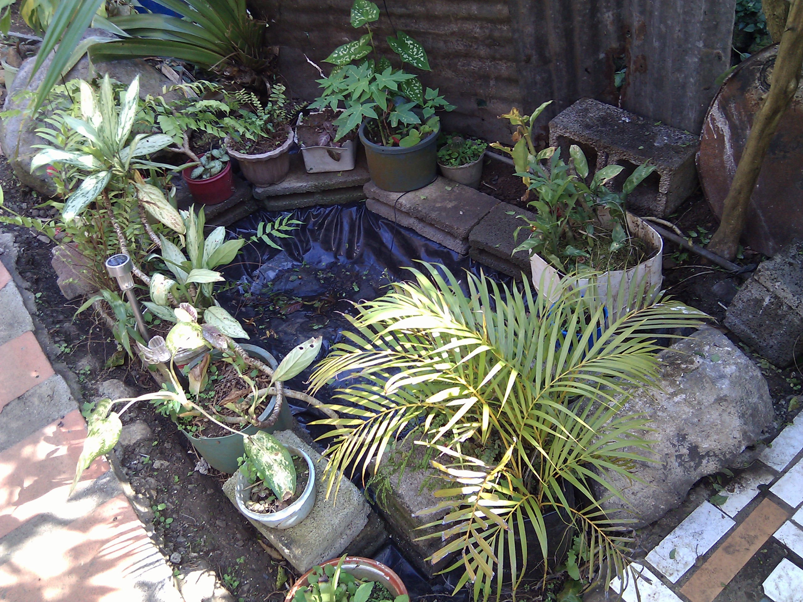 IMG_20110911_145314.jpg