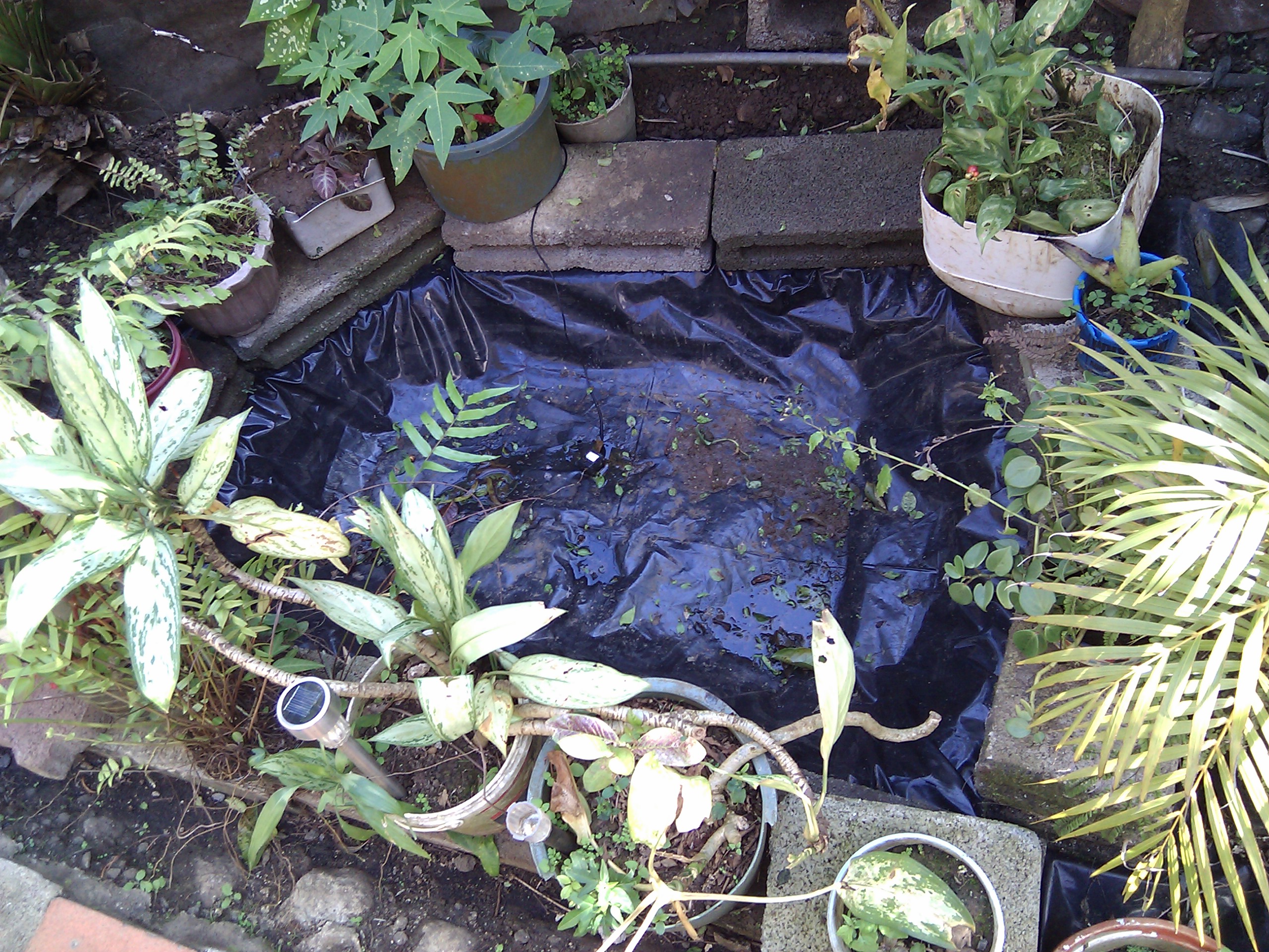 IMG_20110911_145320.jpg