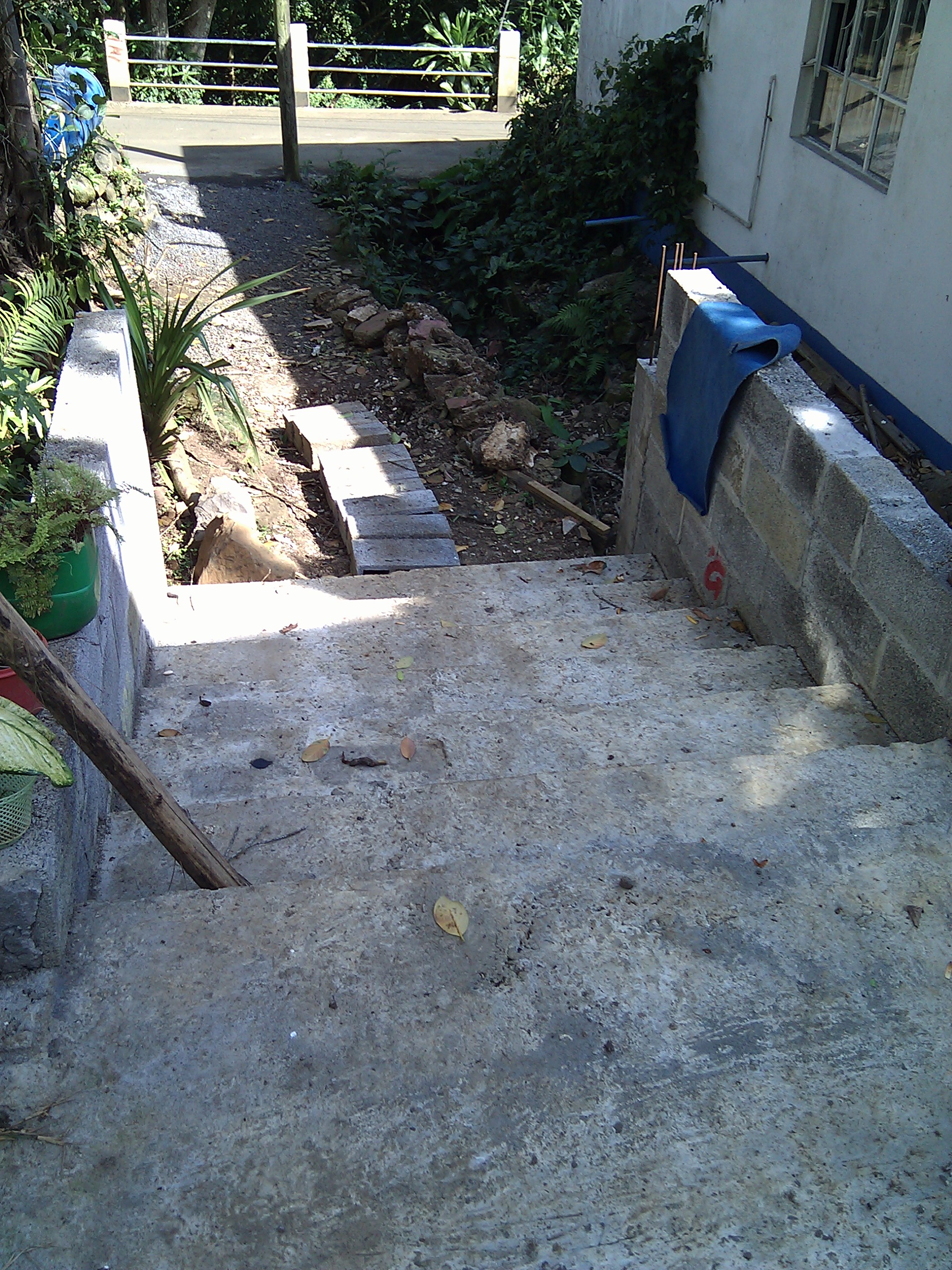 IMG_20110911_145329.jpg