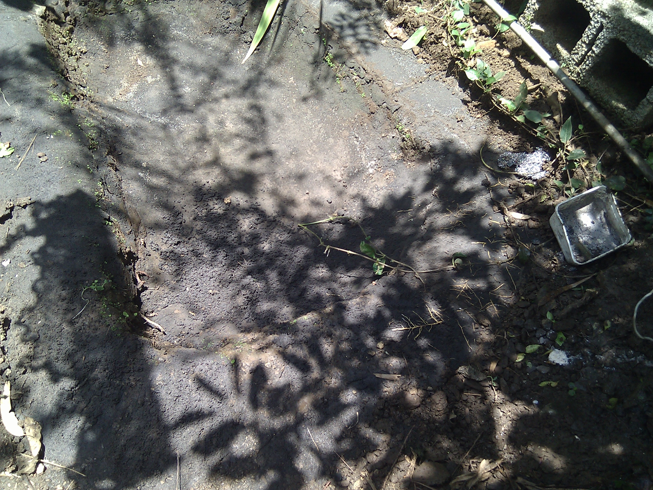 IMG_20111220_113148.jpg