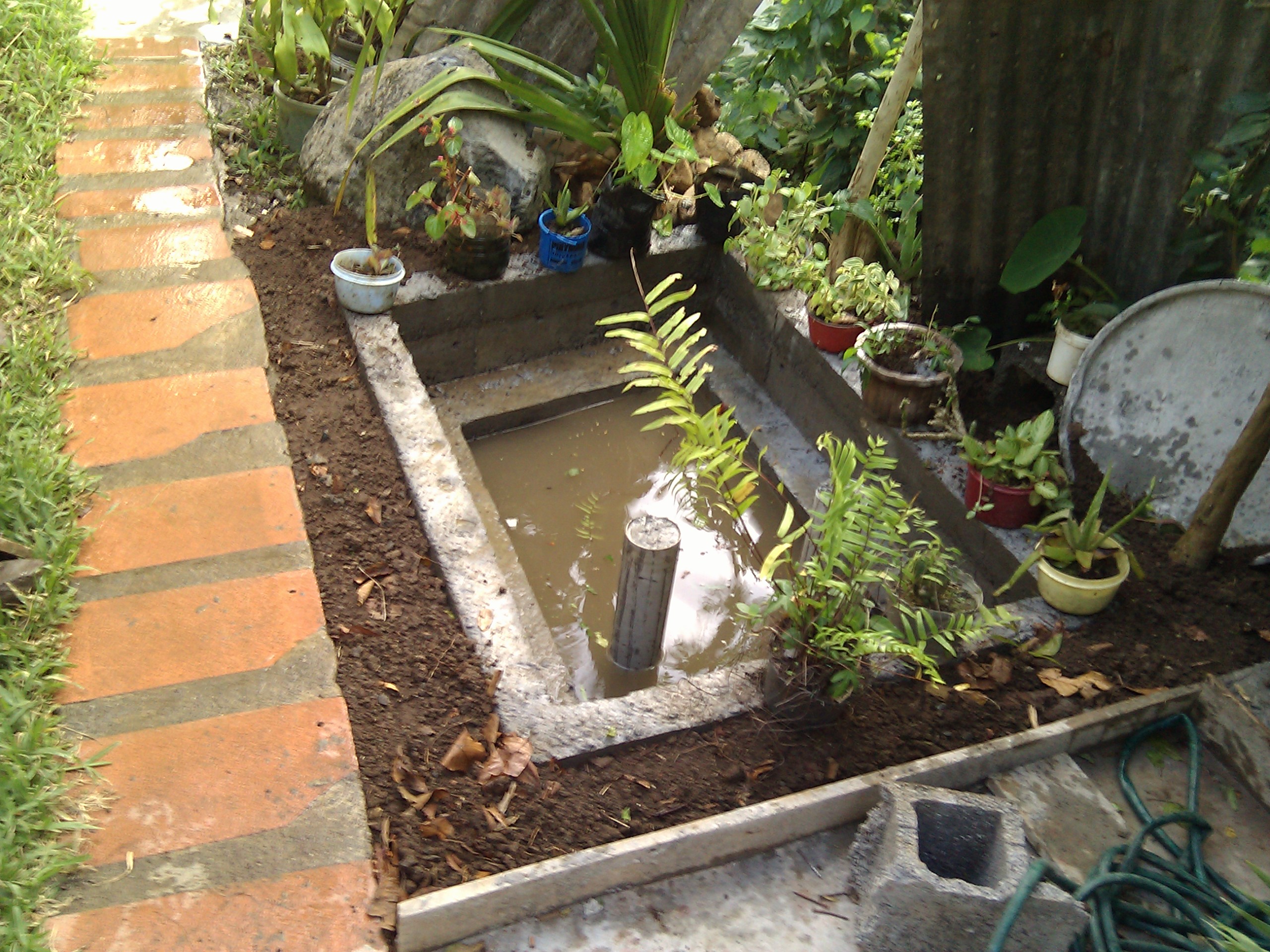 IMG_20120105_182716.jpg
