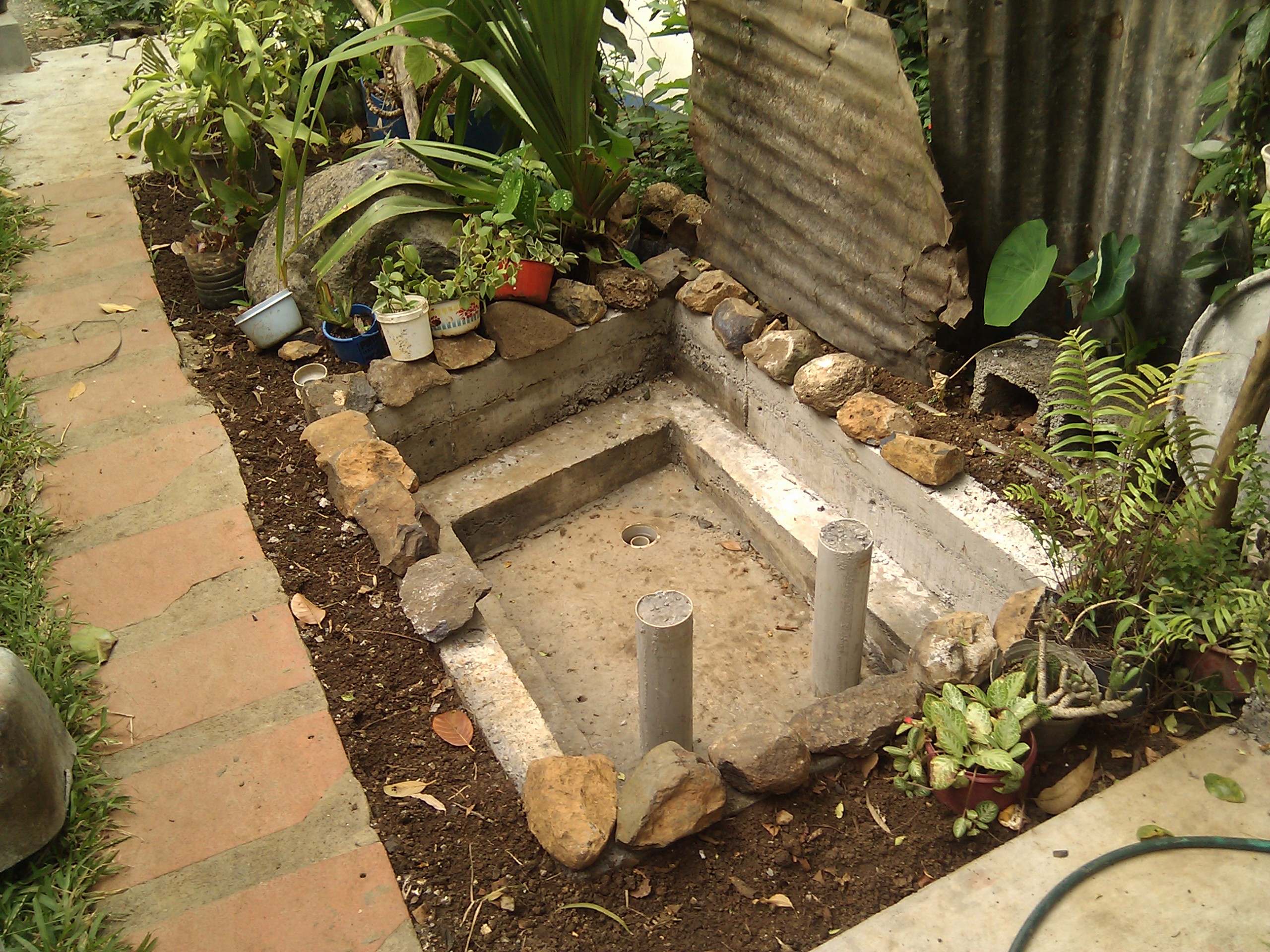 IMG_20120111_081437.jpg