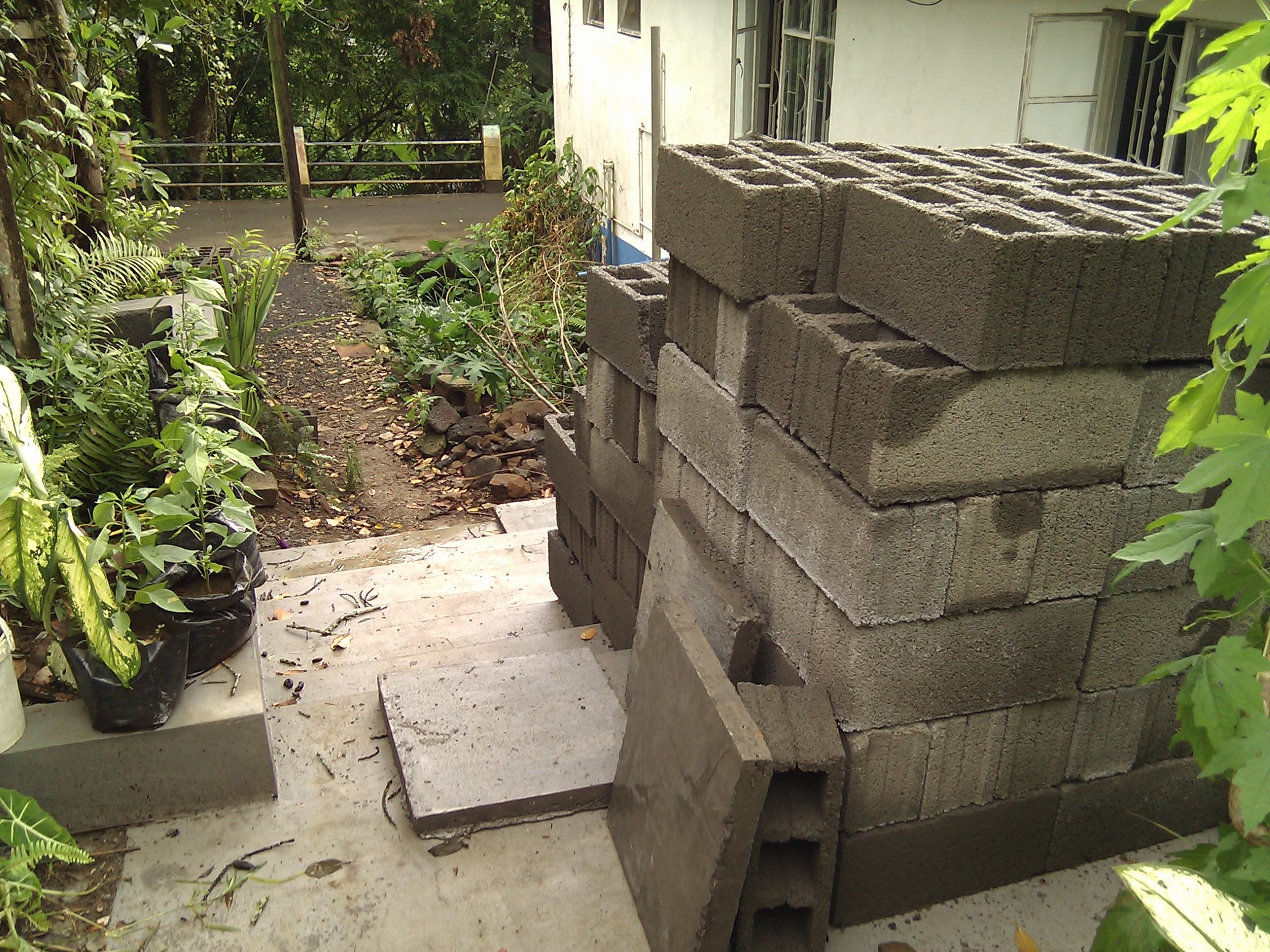 IMG_20120112_110422.jpg