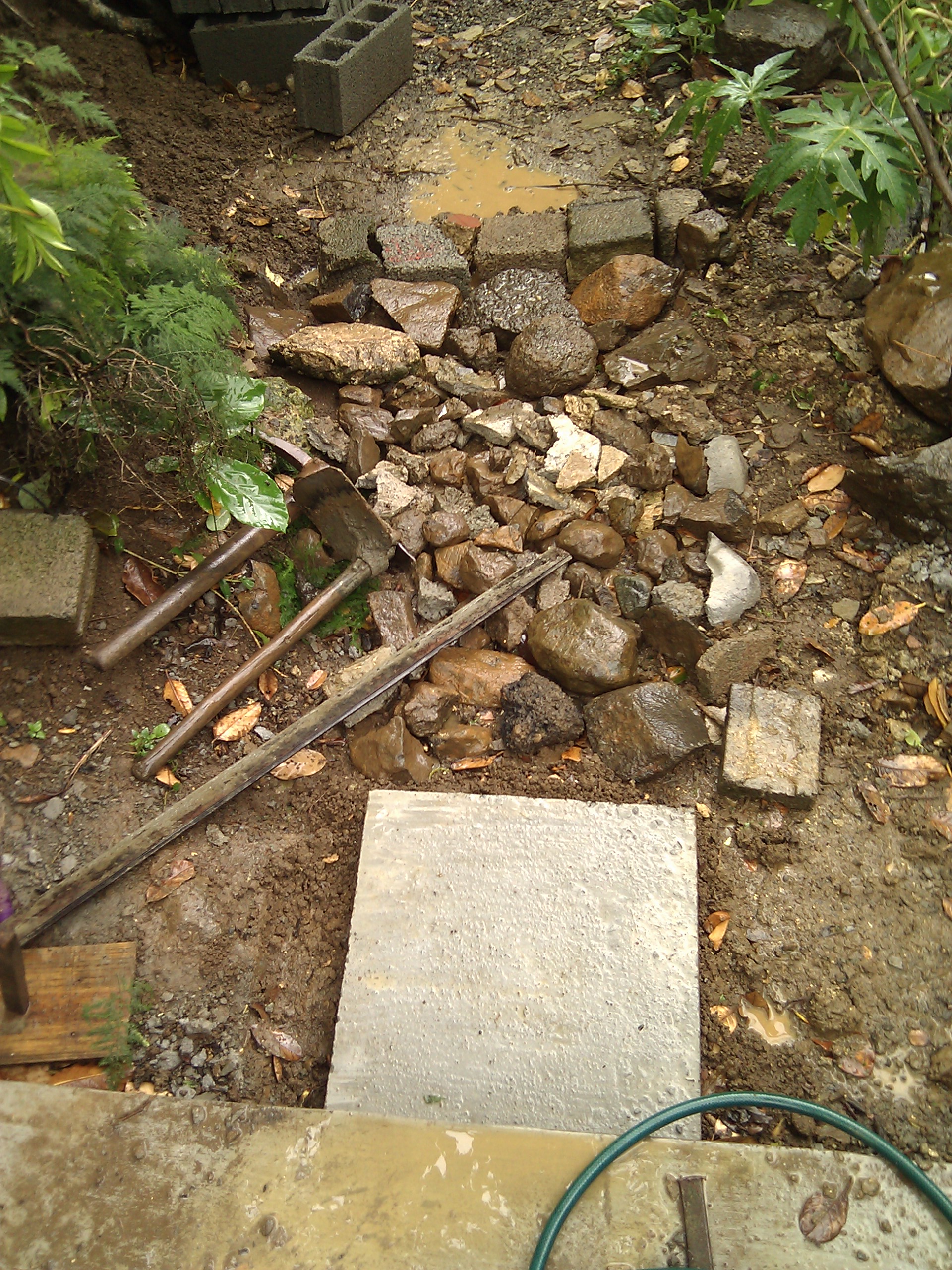 IMG_20120112_114650.jpg